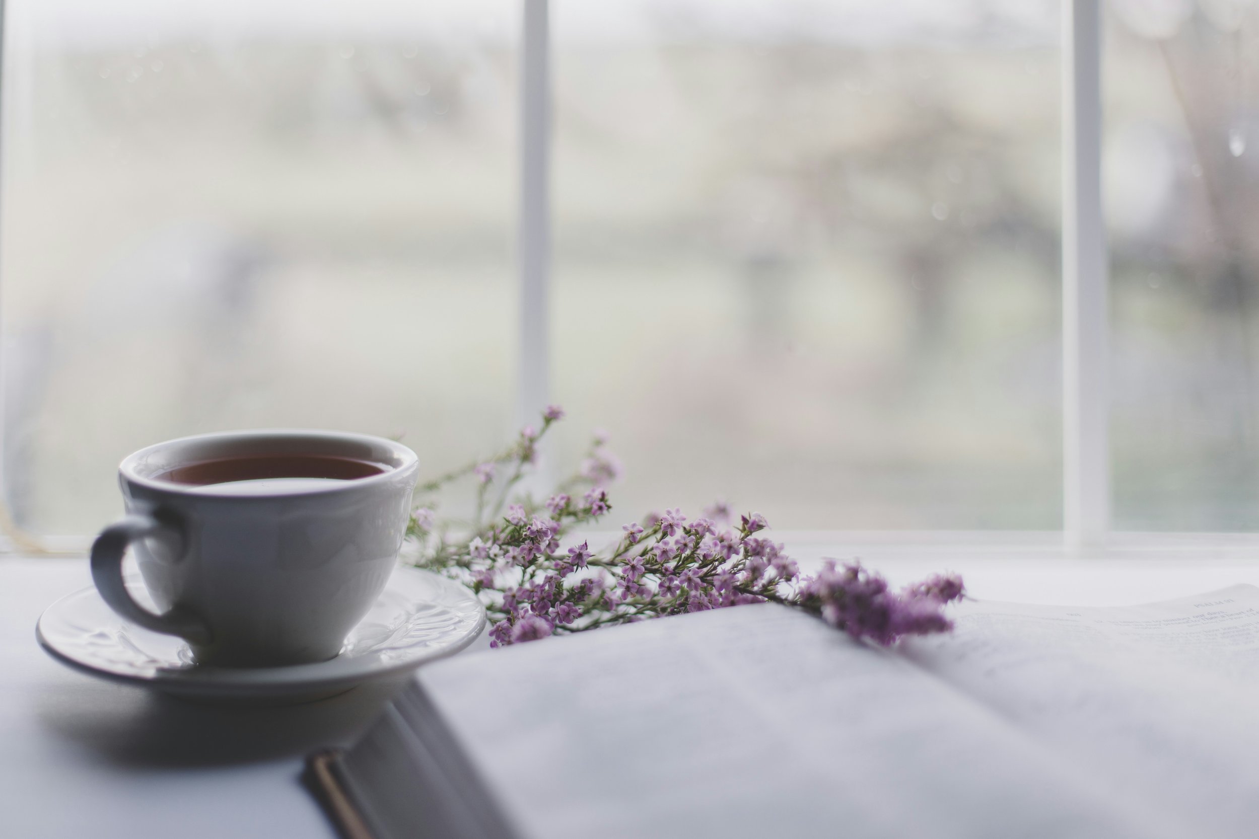 Embracing Humility in Our Daily Lives