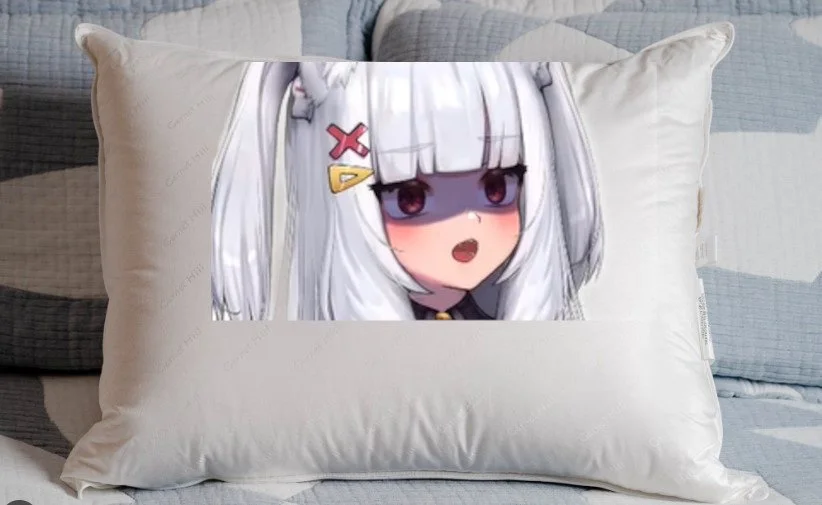  PillowPyre.jpg