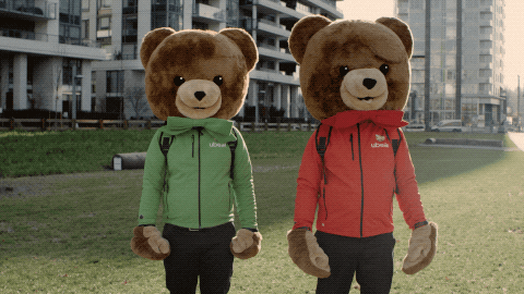 RETIREMENT BEARS