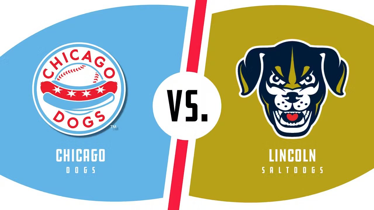 Chicago Dogs Outing