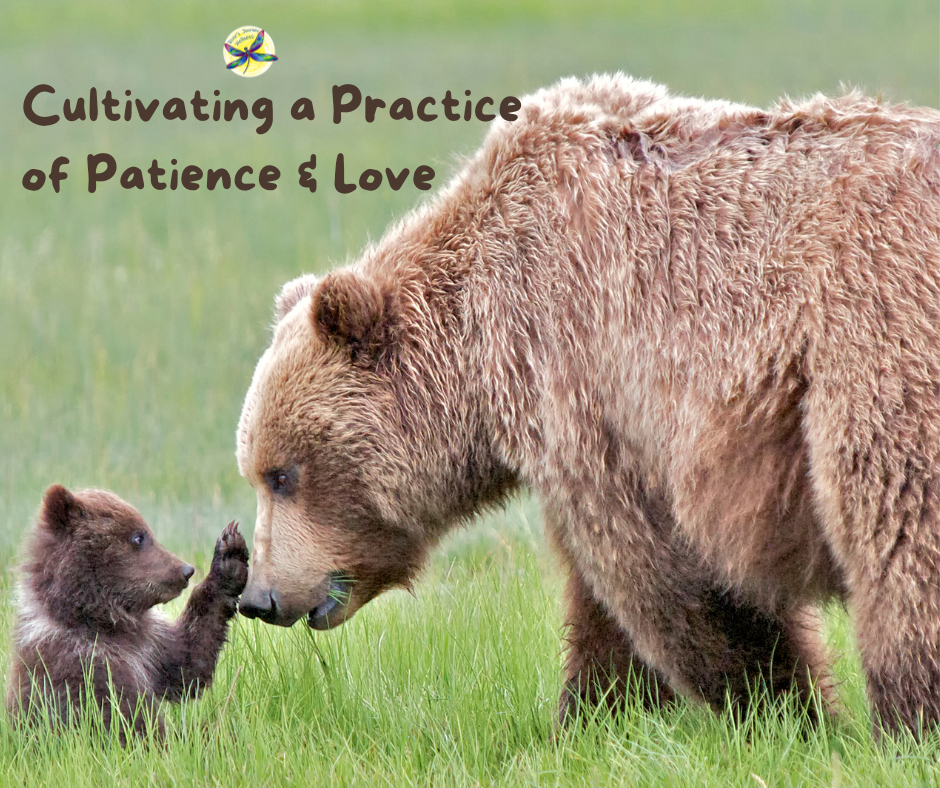 Cultivating a Practice of Patience and Love