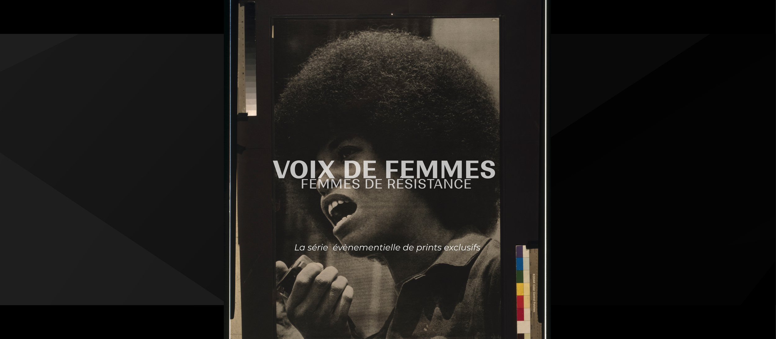 Voix des femmes banner site.png