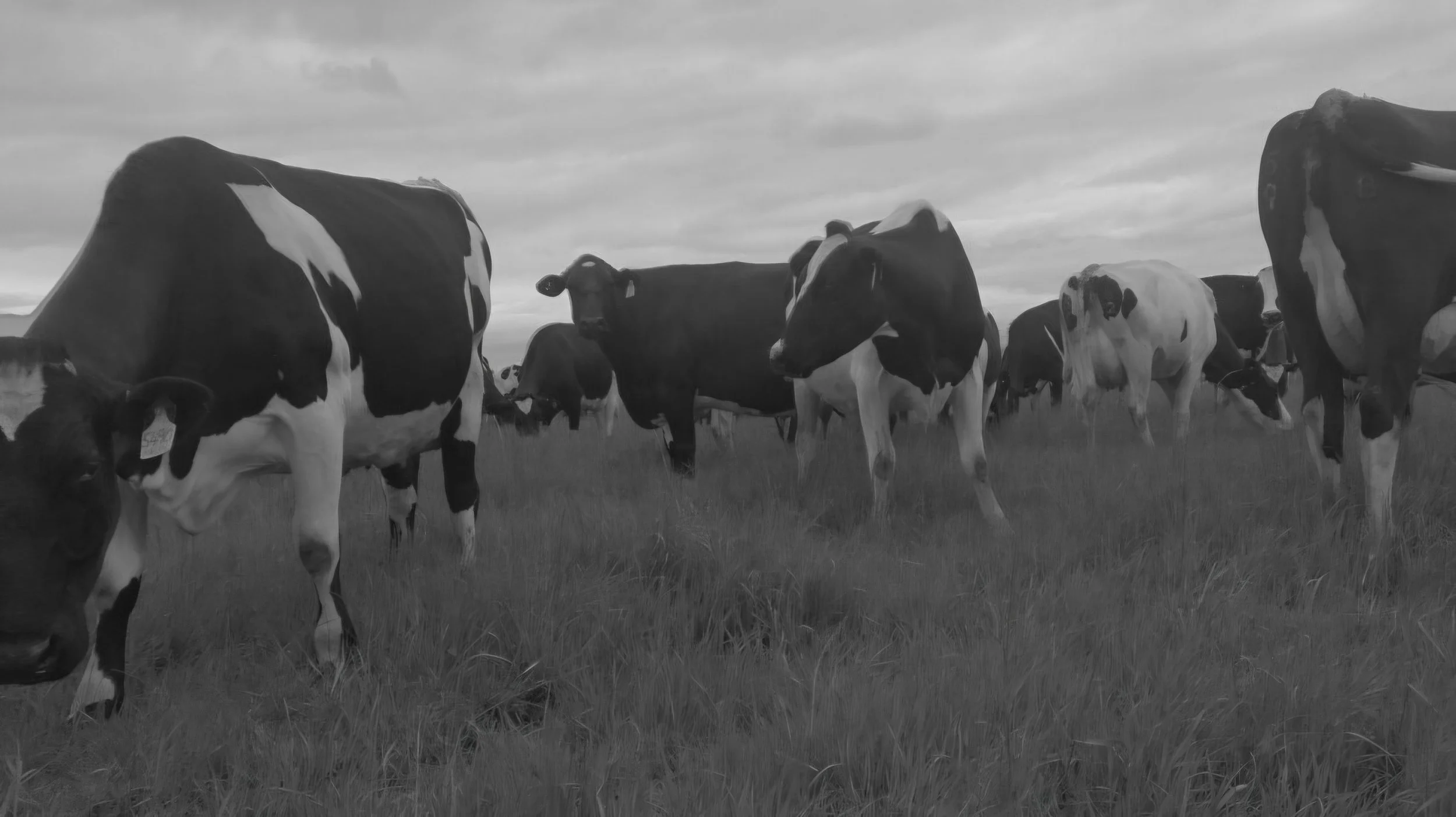 The Toughest Day Letting Go Of The Farm