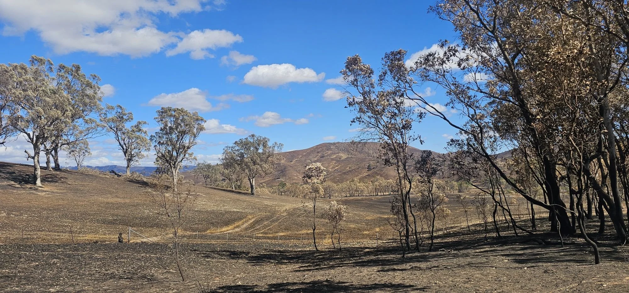 Standing at the Junction: When the Fire Eases but the Weight Remains