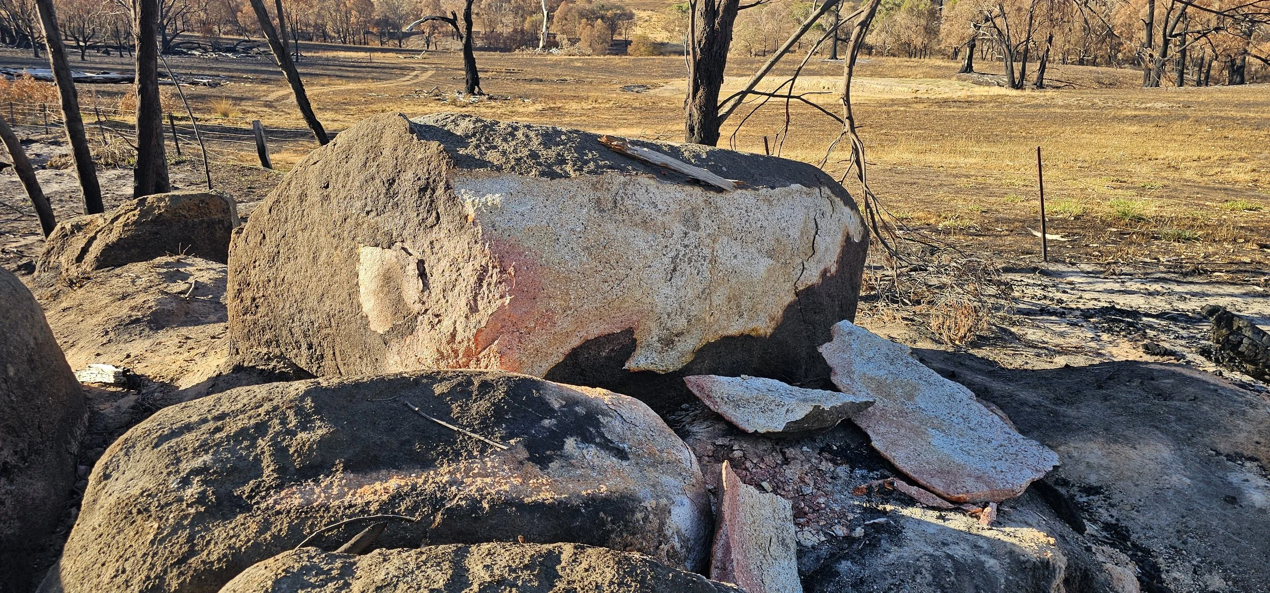 We Don’t Heal Like Rocks: The Truth About Life After Disaster