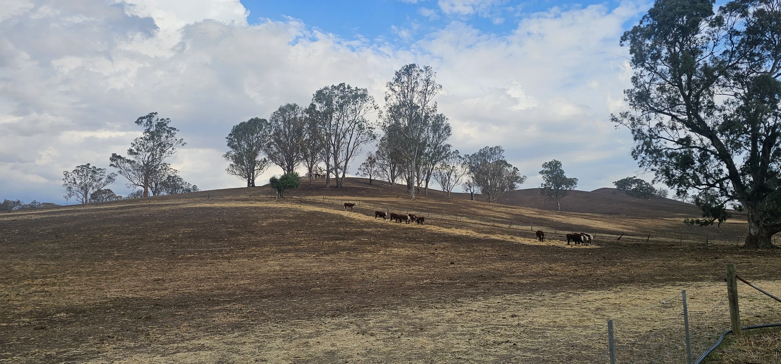 Capacity Before Crisis: The Hidden Factor in Recovery