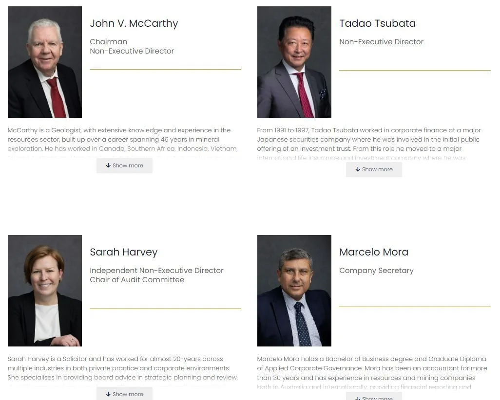 Professional corporate headshot of mining industry employee in Sydney