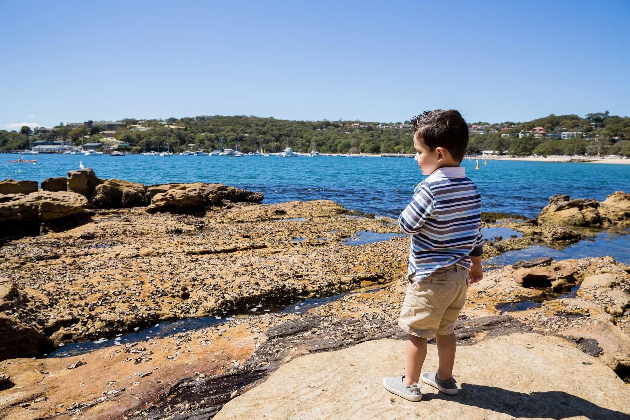 Toddler boy looking out at Balmoral Beach during family photo shoot