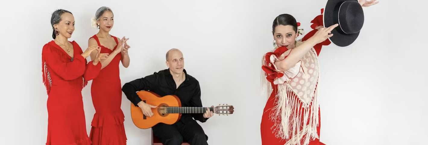Twin Cities Flamenco