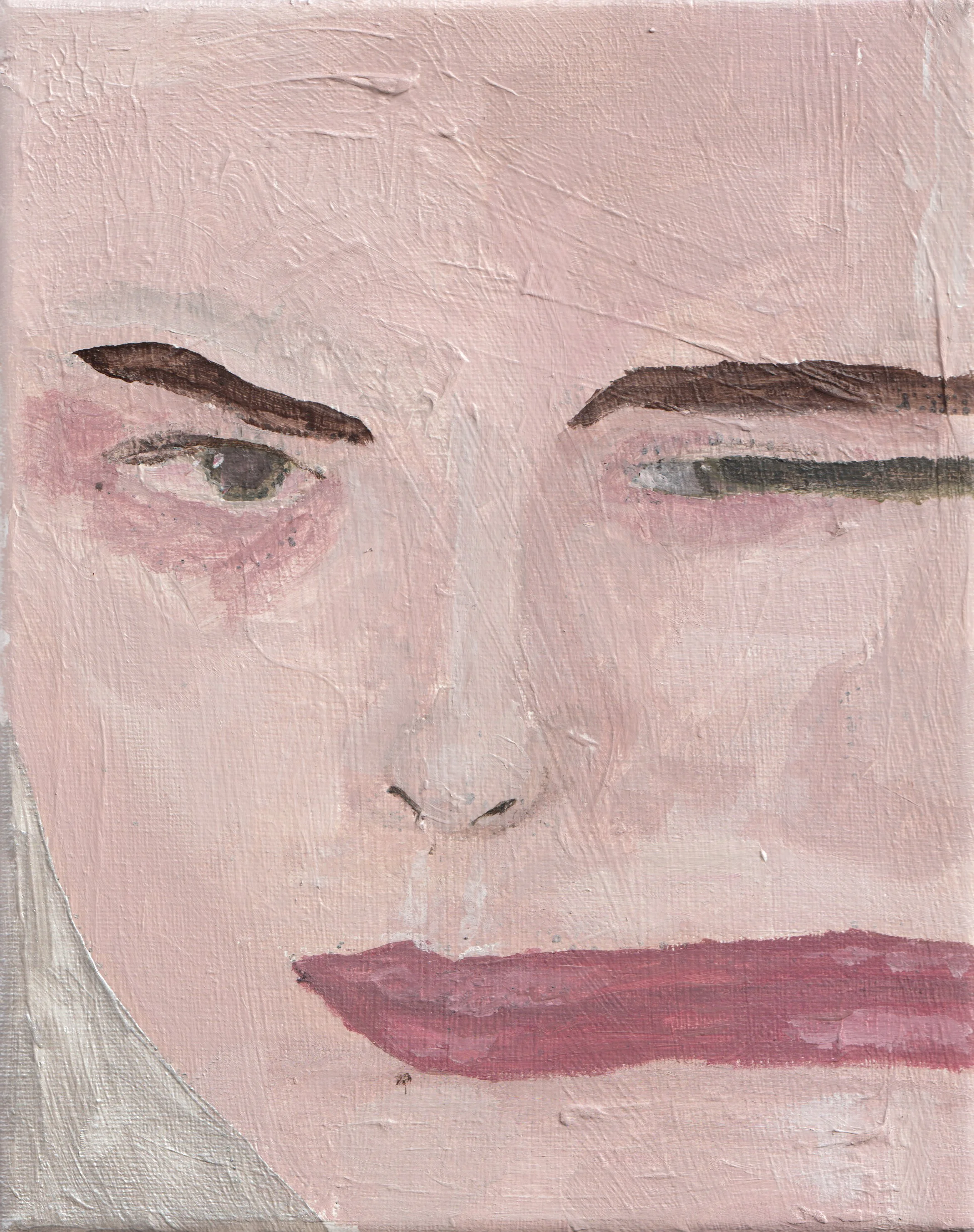 fieldoffaces(fig3) (1 of 1).jpg