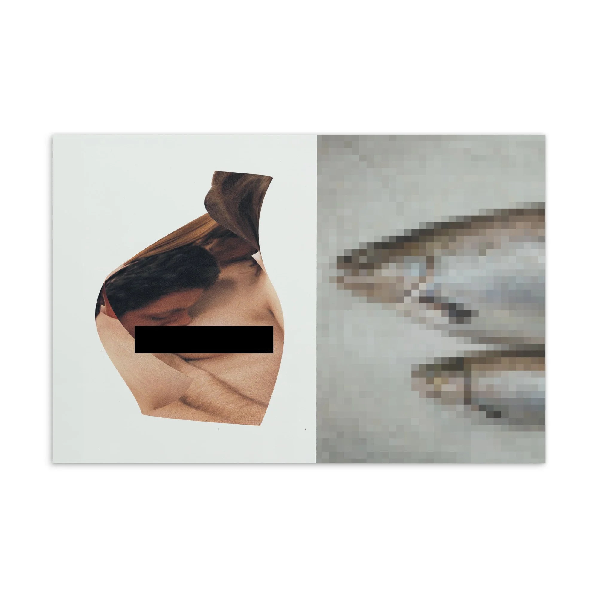Collage of two images: on the left, a distorted photograph of a woman with a black bar covering her eyes, and on the right, a pixelated image of a fish.