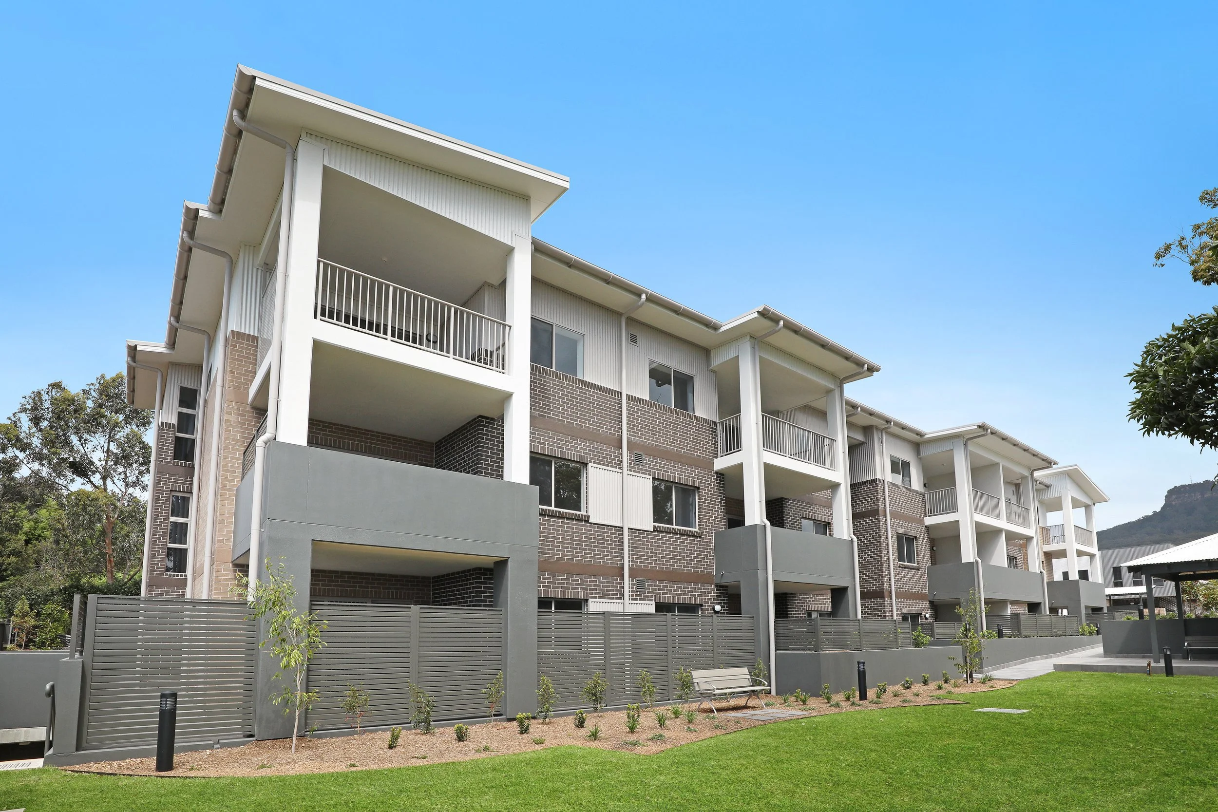 Corrimal_1.jpg