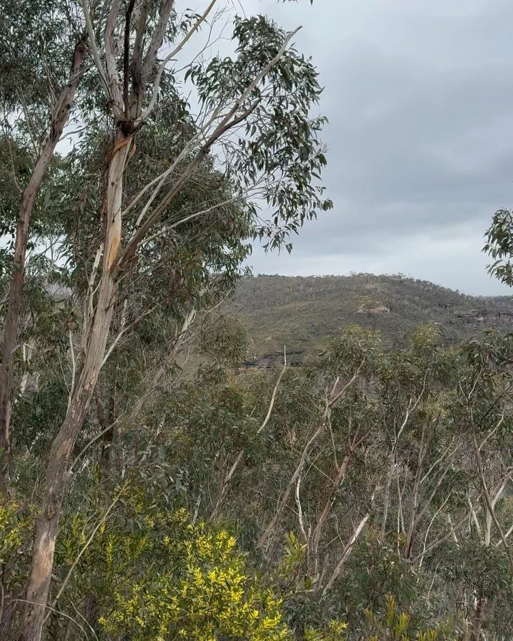 Need a day off to recalibrate? 

The Blue Mountains is the place 🙌
1.5 hours from Sydney and billion miles from care ❤️

#selfcare #loveyourself #breath #wellness #australianbush #lovenature #walkonthewildside