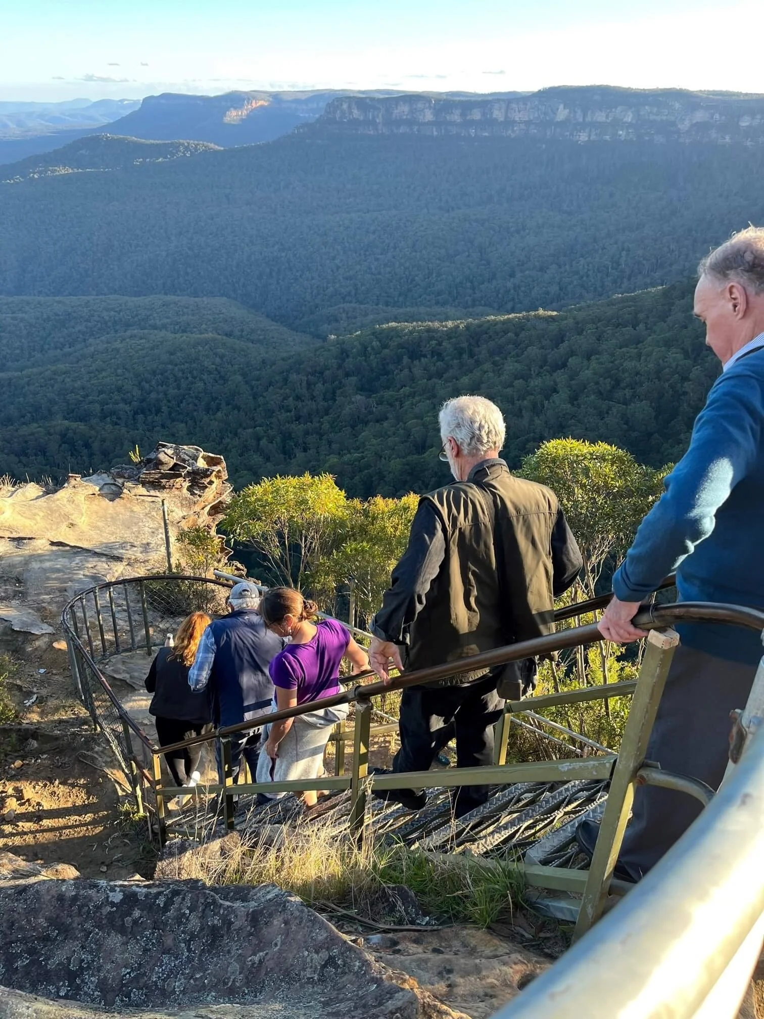 Scenic Blue Mountains landscape viewed from a mountain lookout