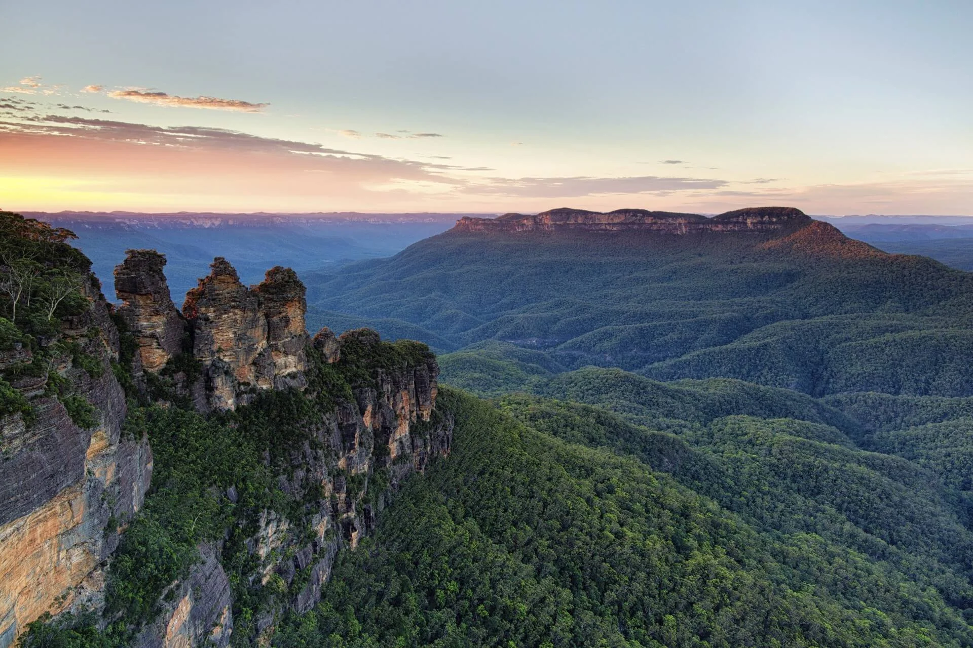 Sandstone cliffs and eucalyptus forest in the Blue Mountains