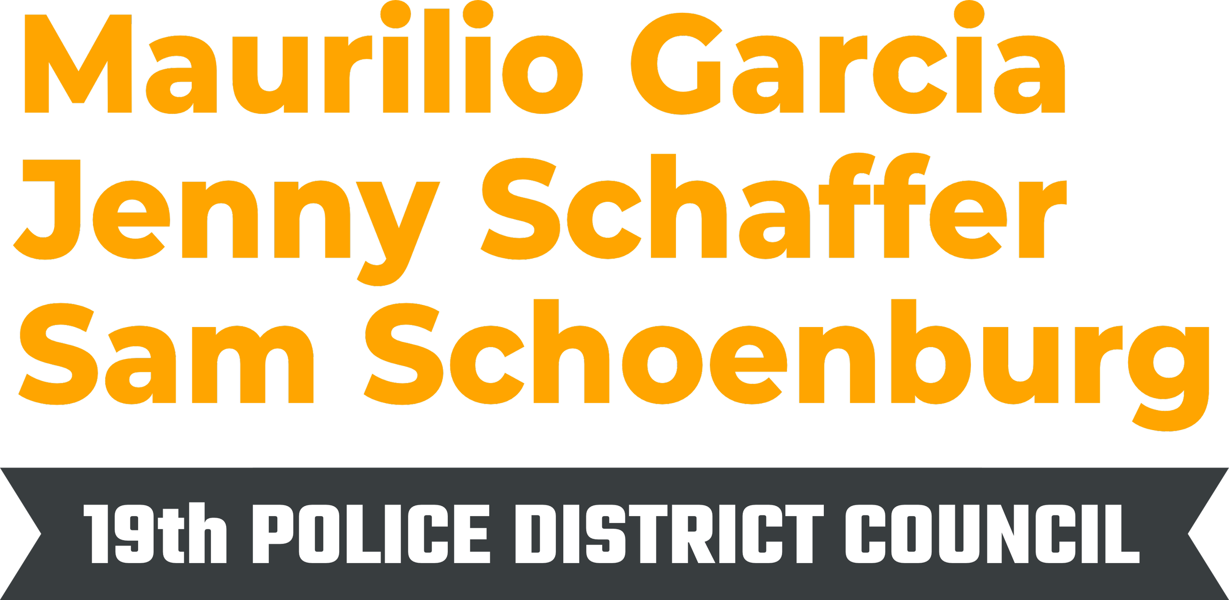 19th Police District Council