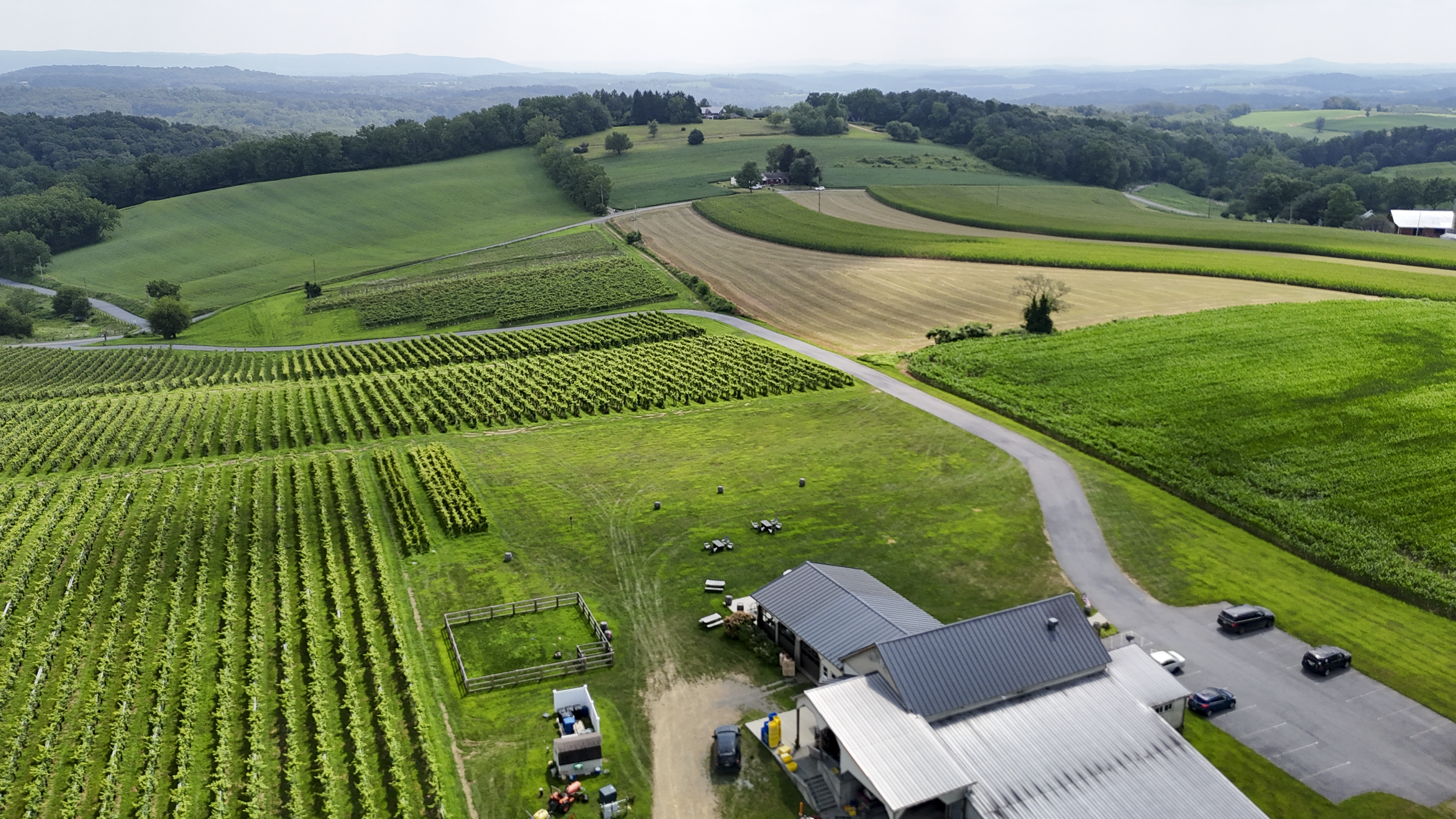 Aerial view of a rural farmland with fields of crops, a winding road, and a few buildings surrounded by lush green landscape and hills in the background.