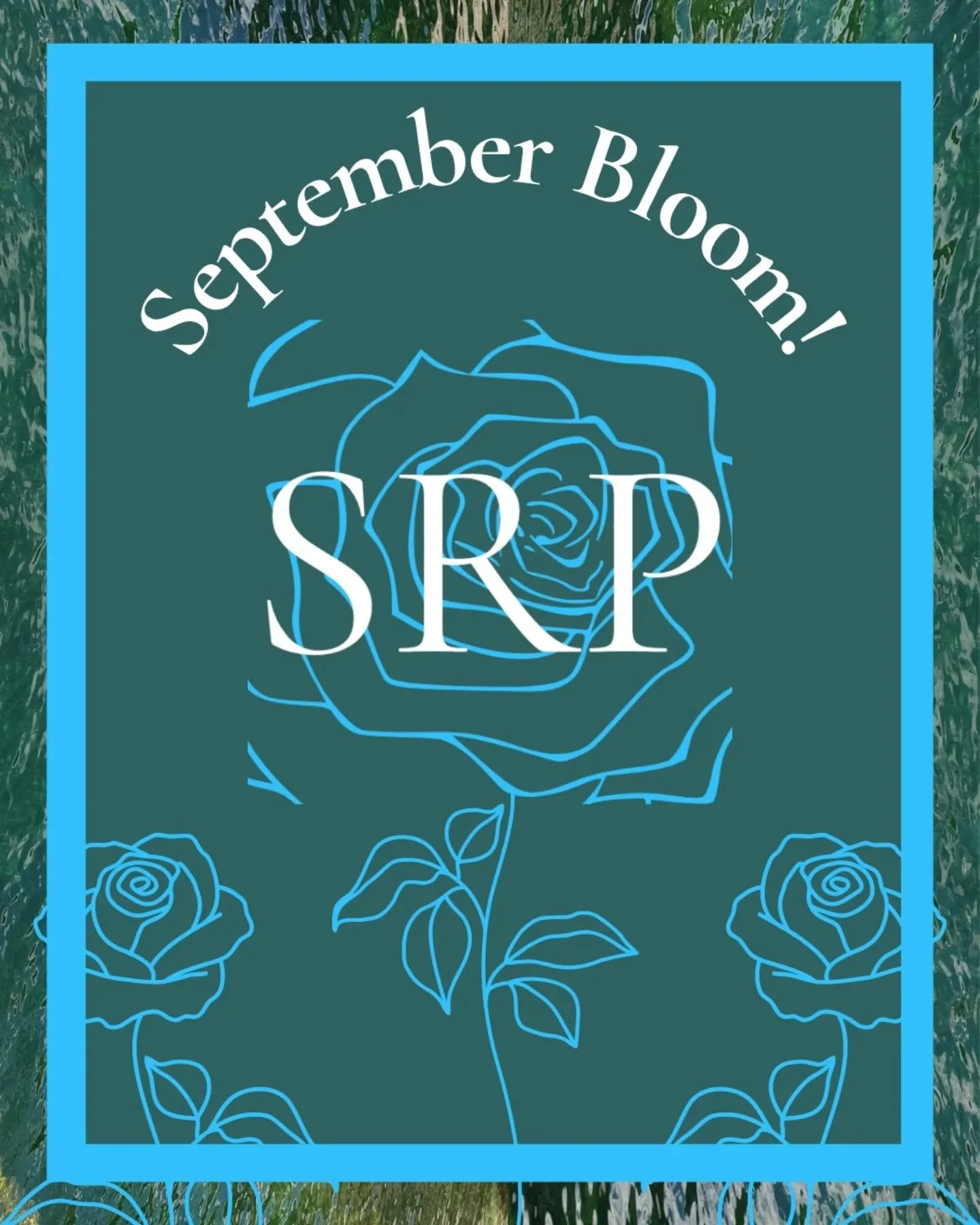 Monthly recap!
3 new clients: 2 novelists, 1 poet.
Thank you for the overwhelming support 💚