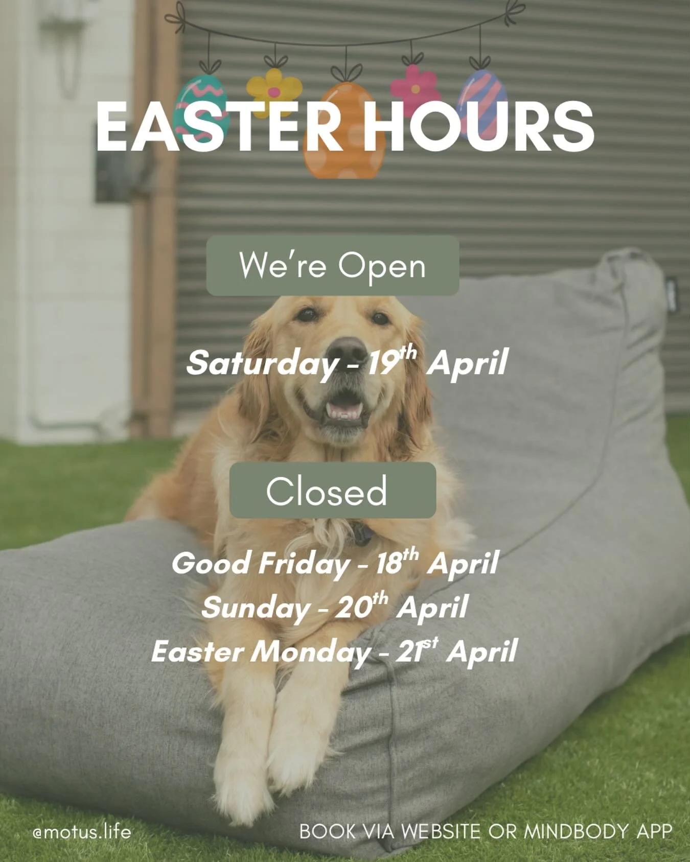 Book your Saturday session via Mindbody now!