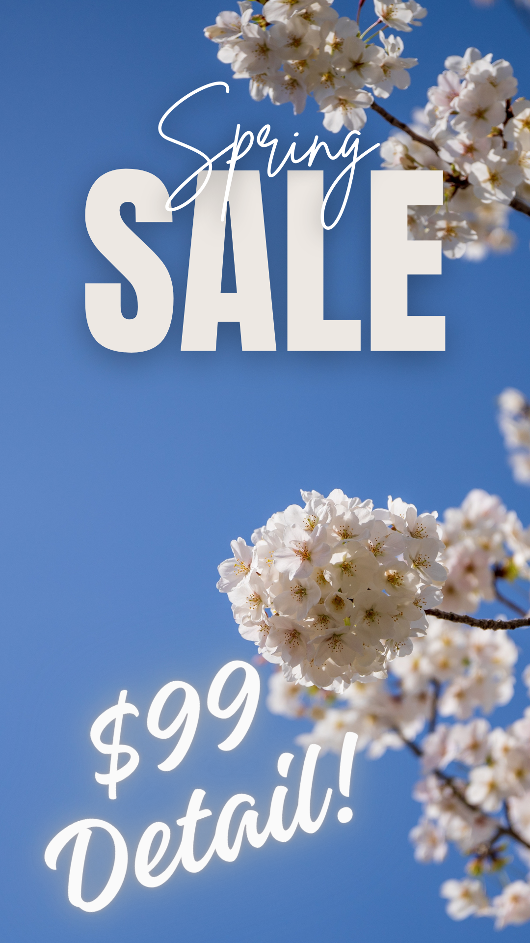 King Mobile Detailing photo 4