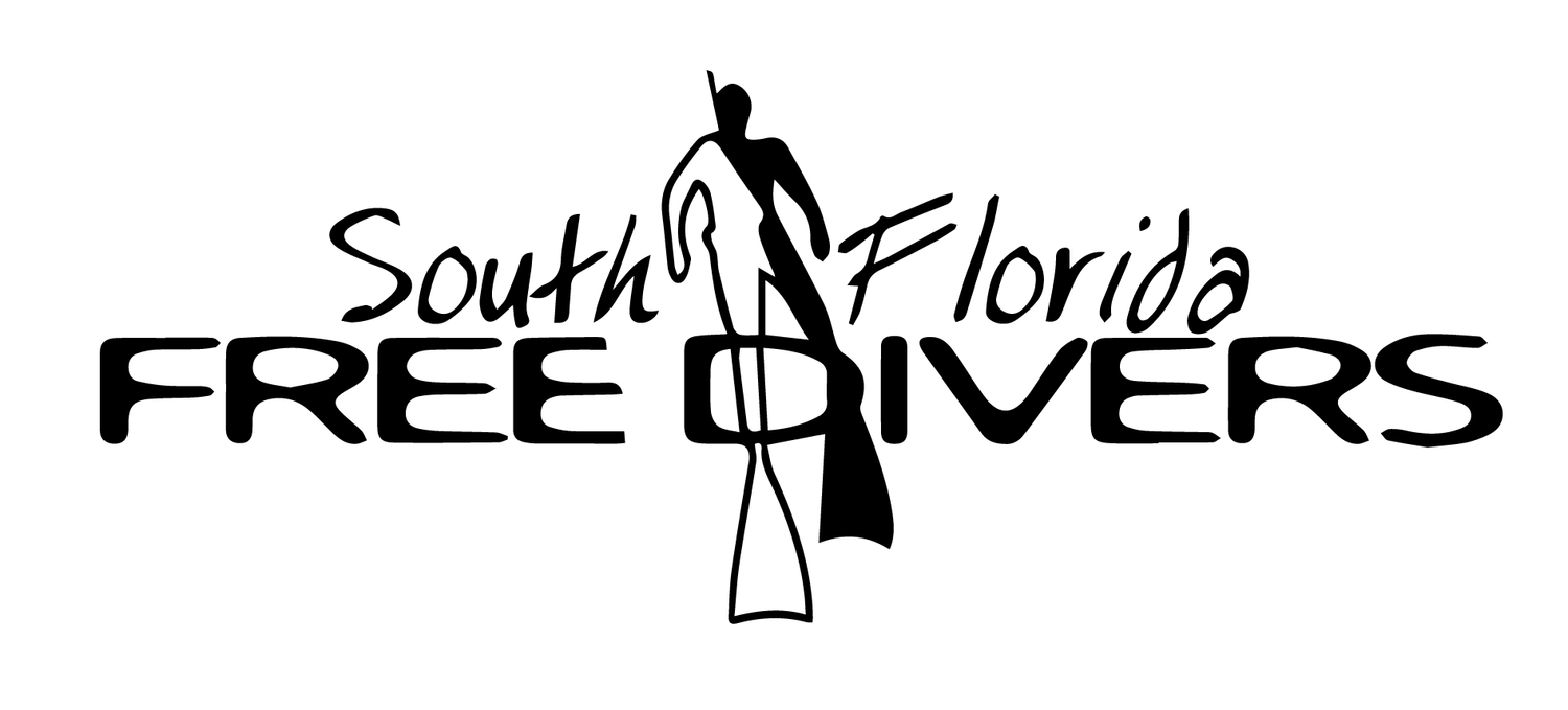 SOUTH FLORIDA FREE DIVERS
