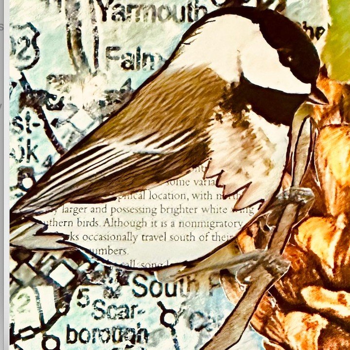Did you know that the state bird of Maine is the black-capped chickadee? Me neither...:). Learning a lot as I'm creating this art piece for my sister-in-law's business! More to come! 
#maine#sheraton#marriott#whitepinecone#newengland