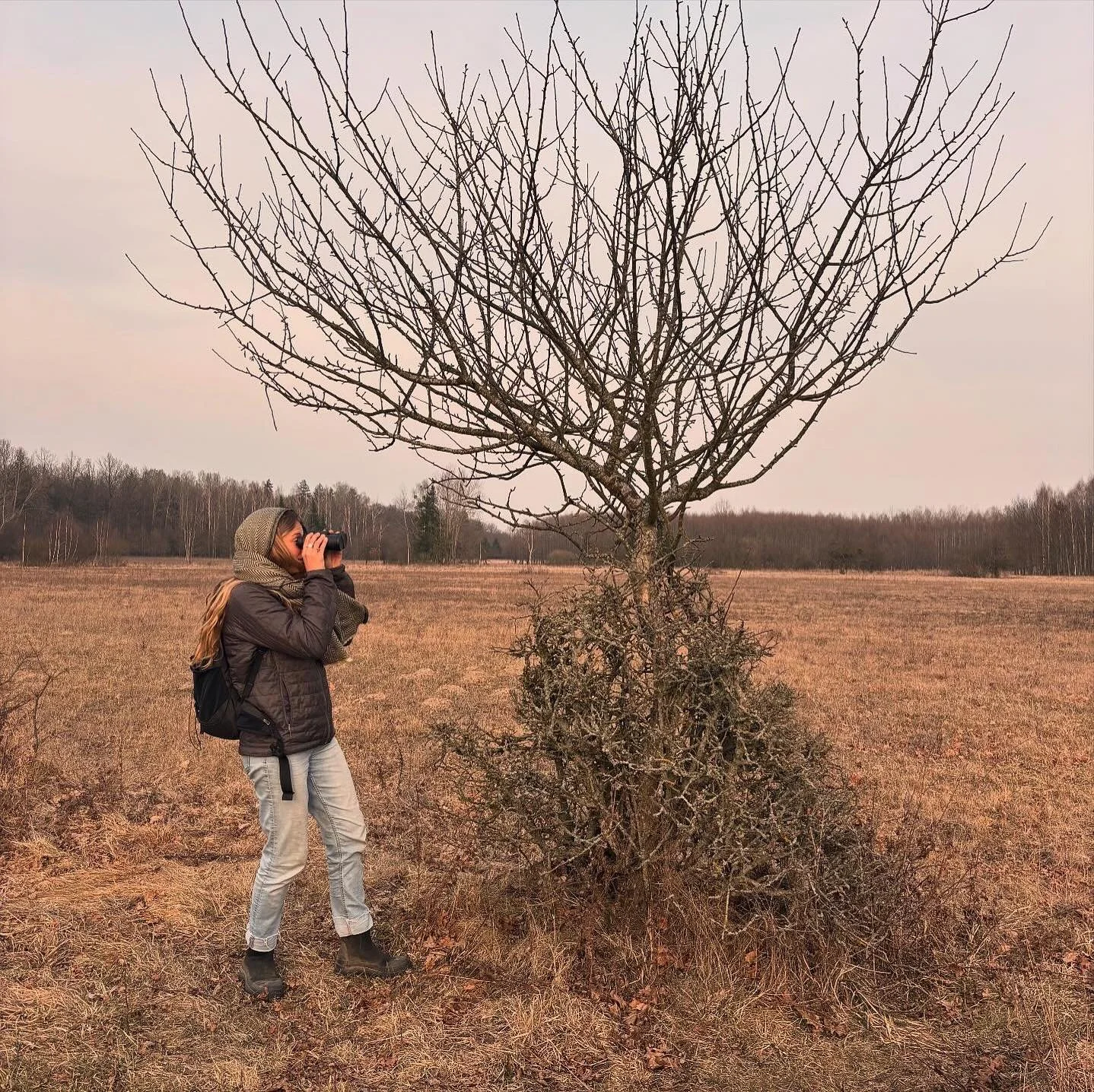 Exploring the Heart of Białowieża Forest ✨🌿

A UNESCO World Heritage Site that spans over 3000 square km of untouched wilderness. As Europe&rsquo;s last remaining lowland virgin forest, it is not only a sanctuary for wildlife but a living example of