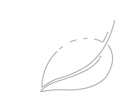 Tomah Cafe