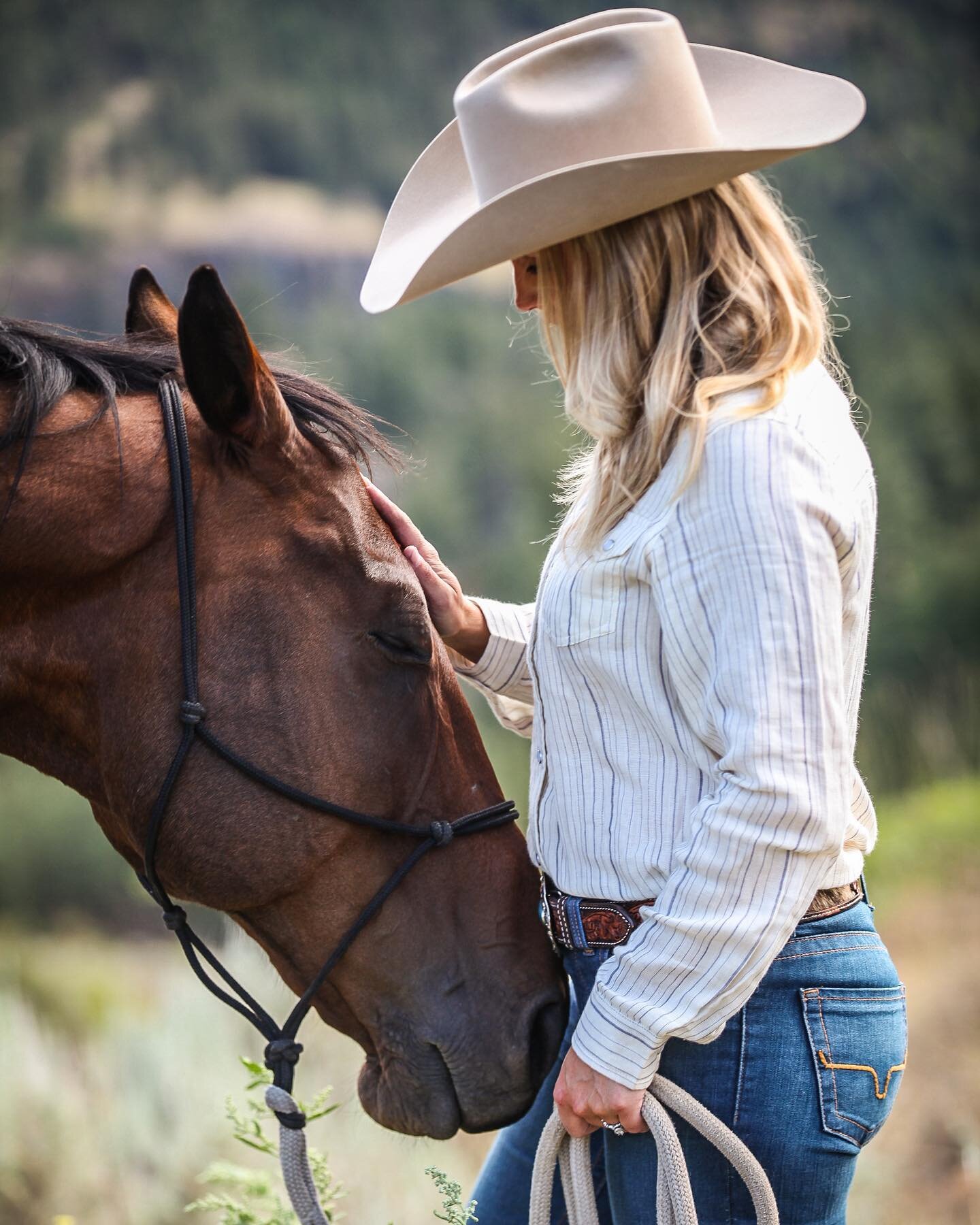 I want to be deeply connected to my horses. I want my horses to feel both powerful and comforted in my presence. To have them work with me as a willing partner and look to me for leadership and guidance. The ability to ride their strength and shape t