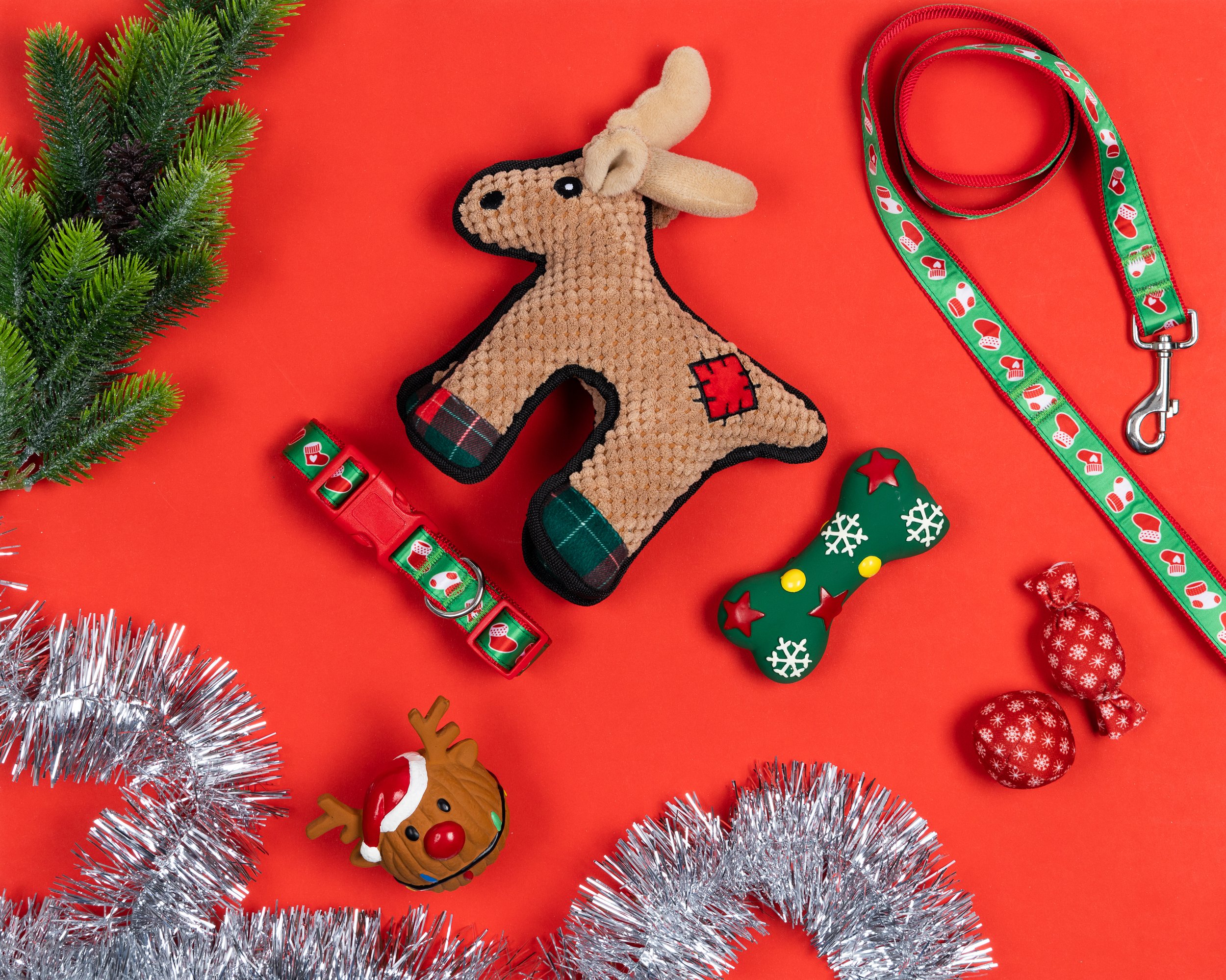 HAPPY TAILS_0787_HR.jpg