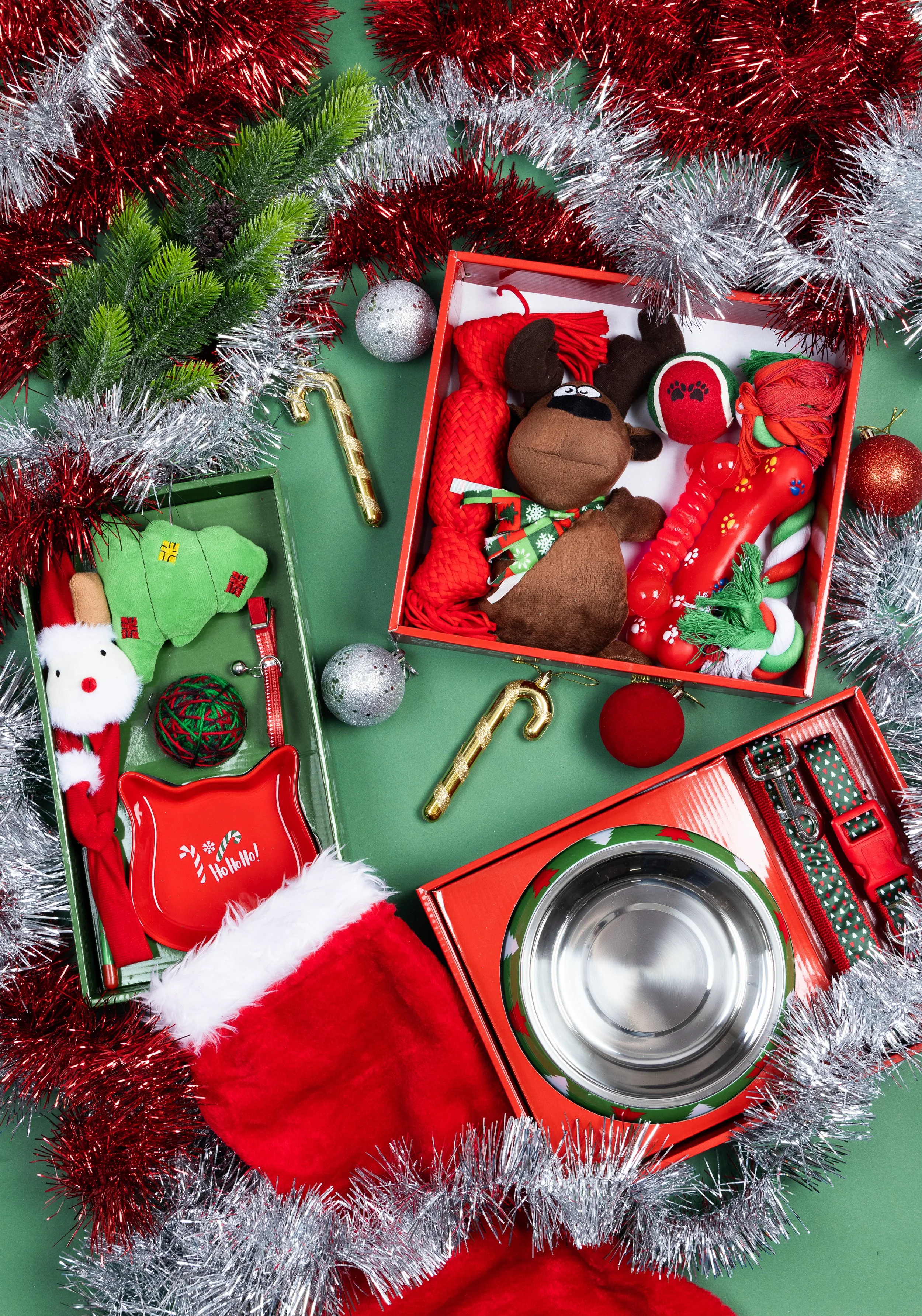 HAPPY TAILS_0811_HR.jpg