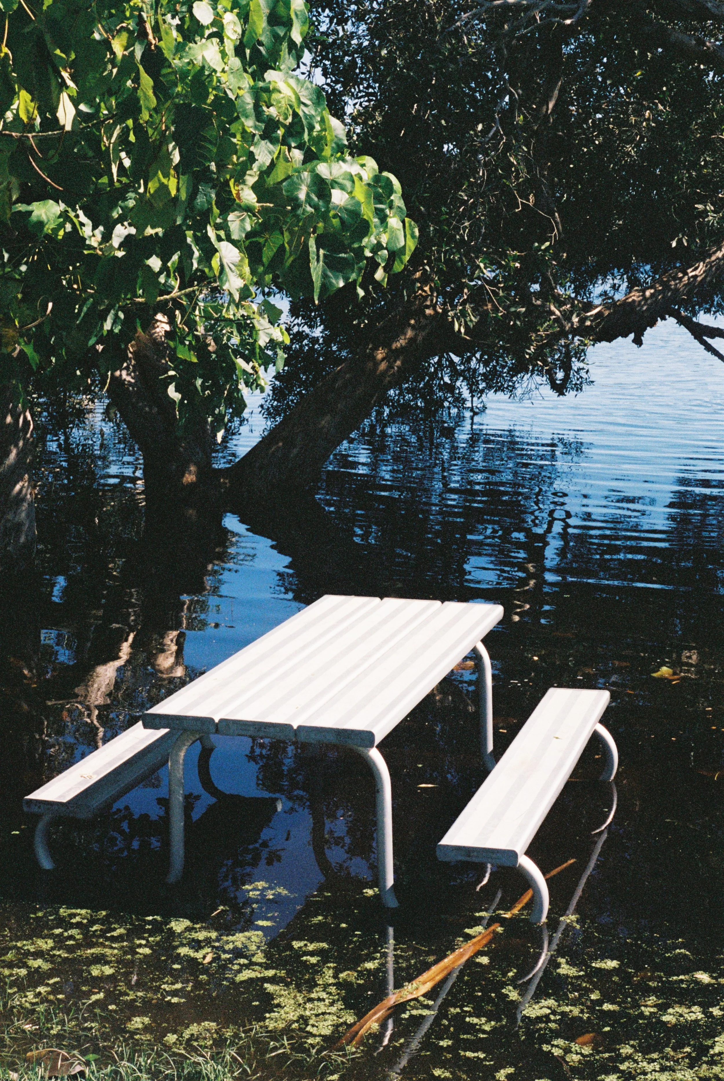 Ti-Tree Lake, post NSW Floods