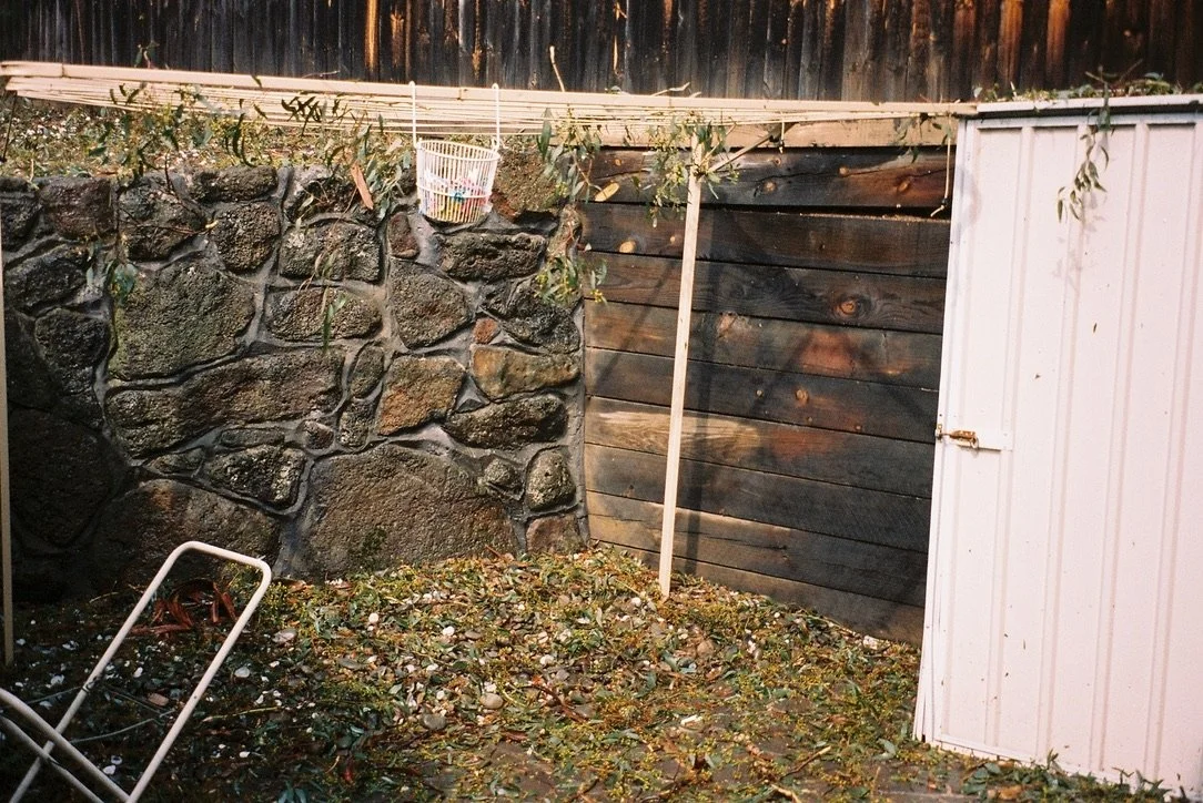 Leaves hanging themselves to dry