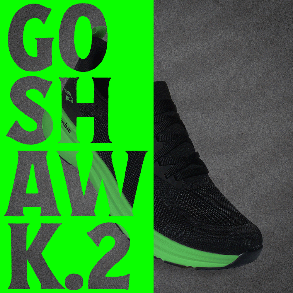 Goshawk2.gif