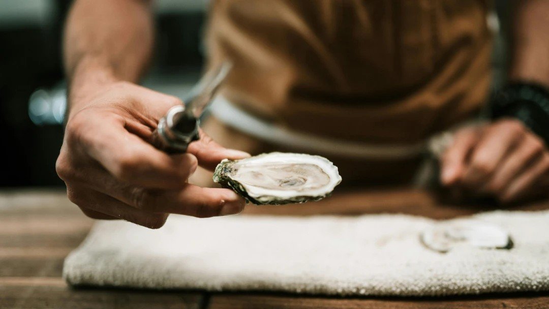 Shucking an oyster: a thing of beauty. From the pristine shell to the succulent flesh within, each one holds the promise of a culinary delight. Embrace the art of shucking and savor the briny goodness within. 🌊🍽️🦪 #OysterBeauty #ShuckAndSavor