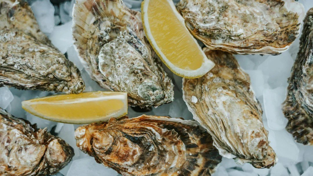Have we mentioned that oysters and lemons are a match made in heaven? It's not just a saying&mdash;it's a delicious truth!
🍋🦪 #OystersAndLemons #FlavorPerfection