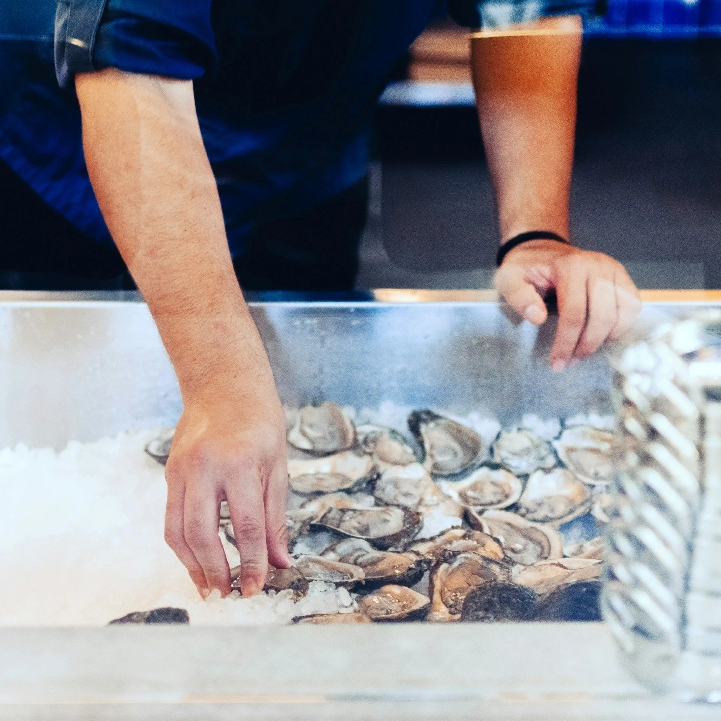 Embark on a journey to pick the perfect oysters for your next culinary adventure! 🌊🦪 Whether you're a seasoned connoisseur or a curious novice, selecting the right oysters is key to unlocking a world of flavor.

From briny to buttery, each variety 