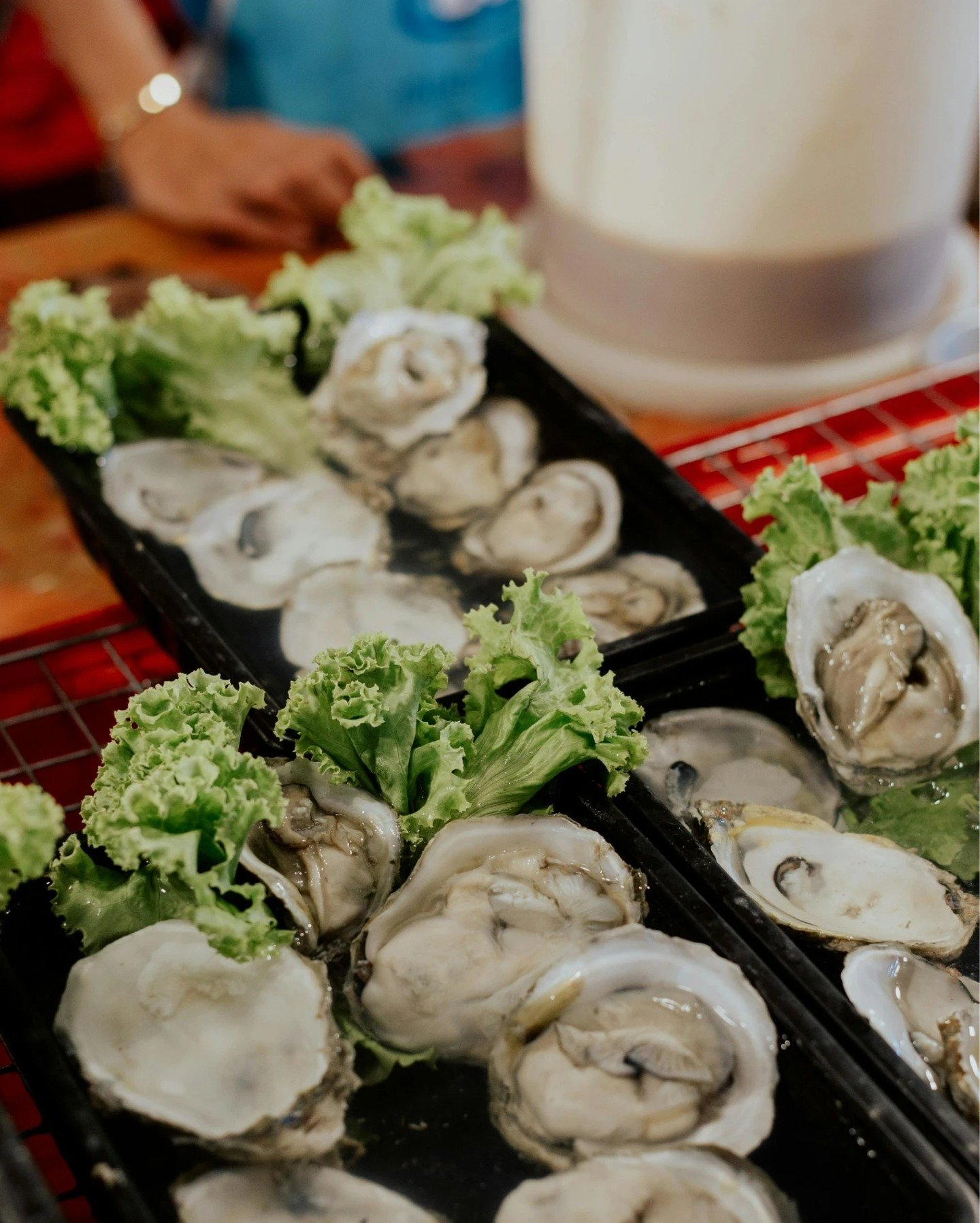 Dive into a healthier lifestyle with nutrient-packed oysters! 🌊🦪 Packed with essential vitamins, minerals, and omega-3 fatty acids, they support heart health, boost immune function, and promote brain health.

Swap out greasy snacks for fresh oyster