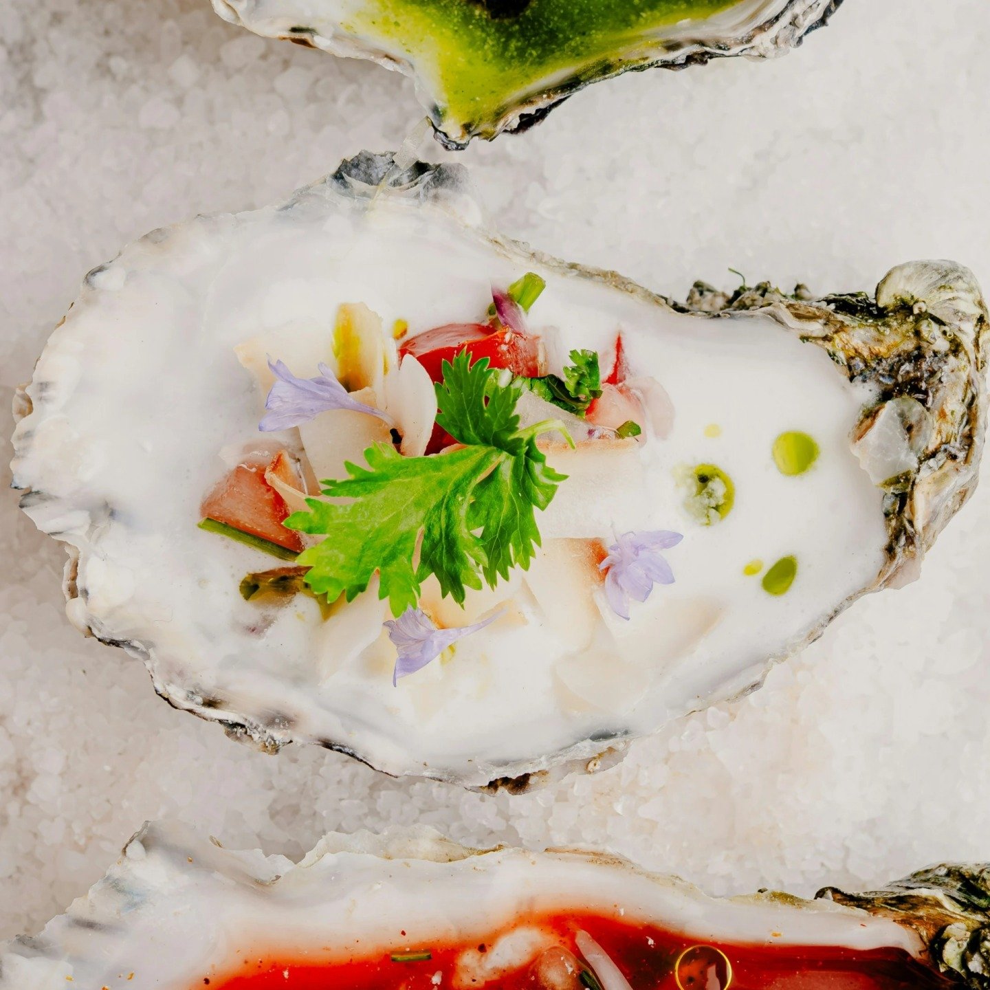 Whether you enjoy them raw on the half shell or prepared in your favorite dish, oysters offer a taste of coastal elegance that's simply irresistible.

So, treat yourself to the ultimate seafood experience and let the freshness of oysters transport yo