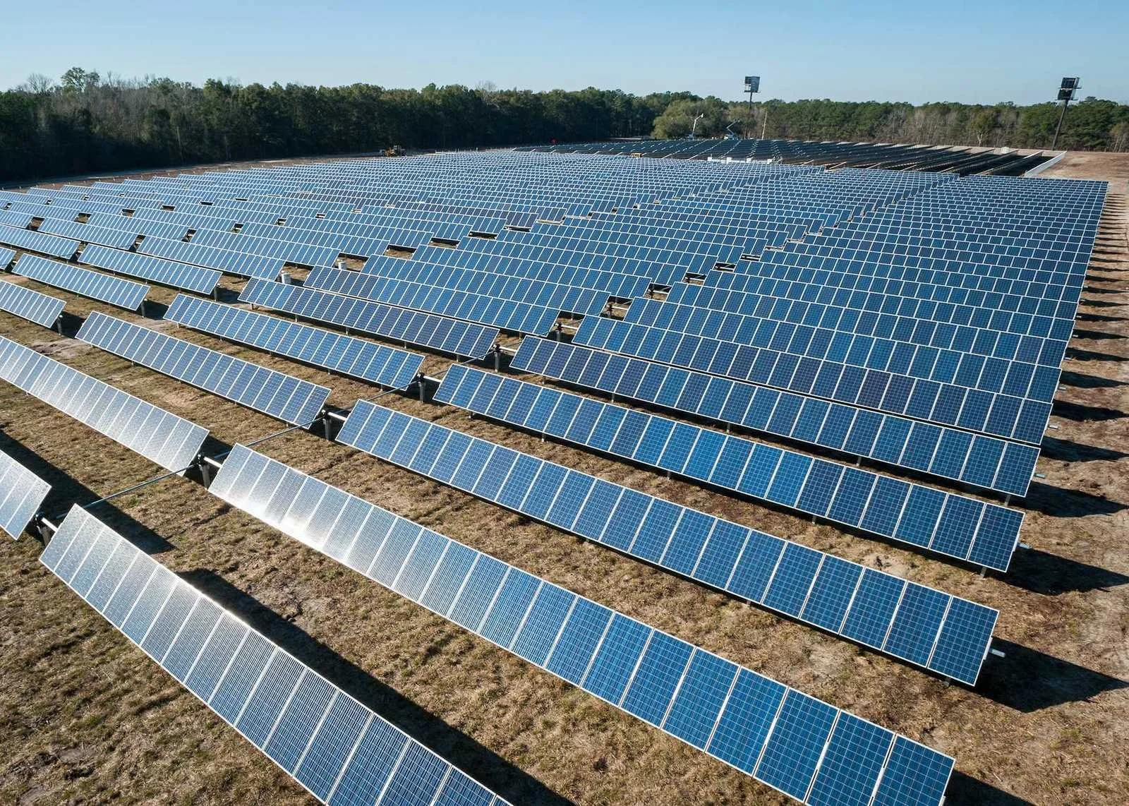 A large field filled with rows of blue solar panels installed on the ground, with a wooded area in the background and two tall light poles on the right side.