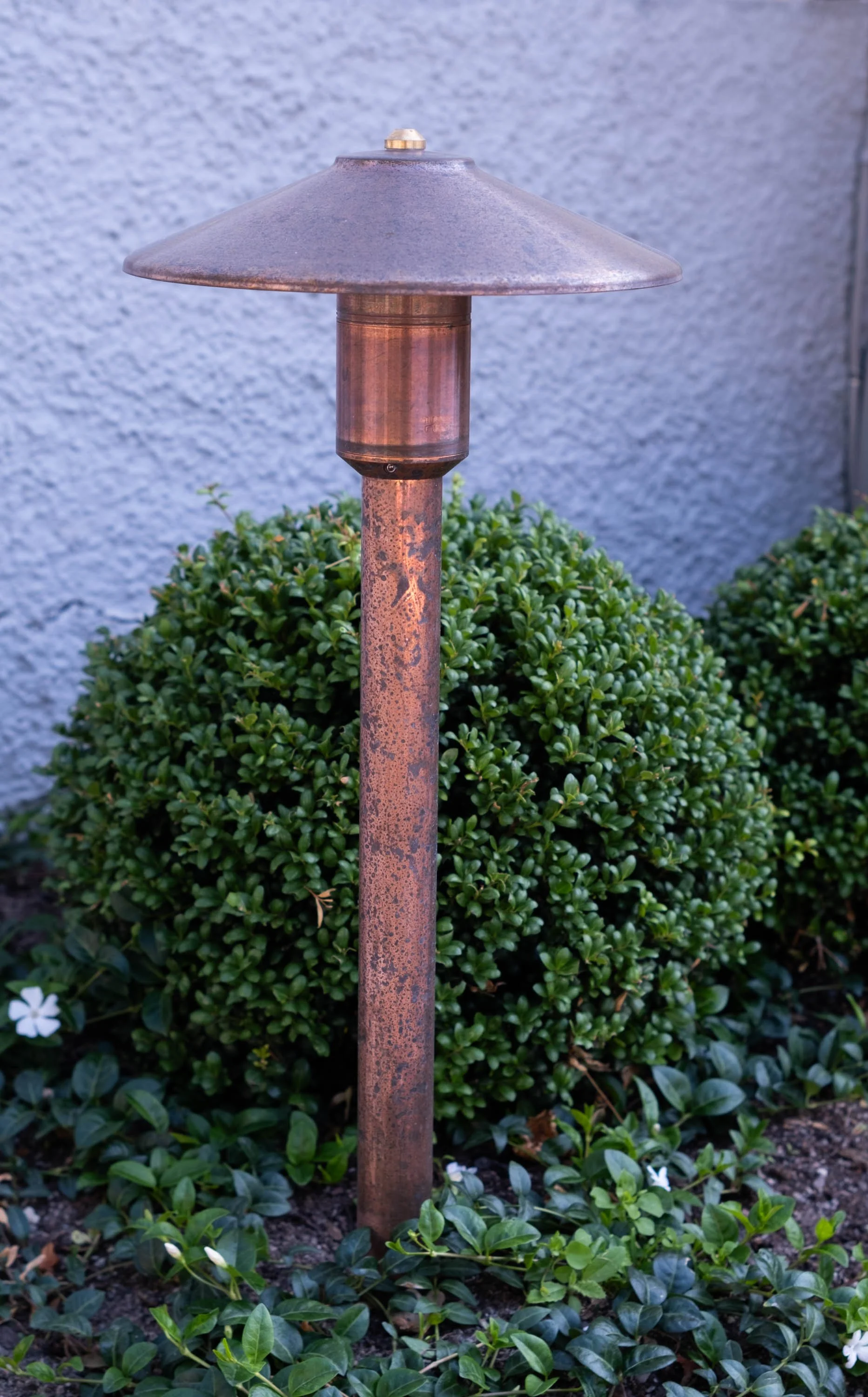 DSCF7090.jpg