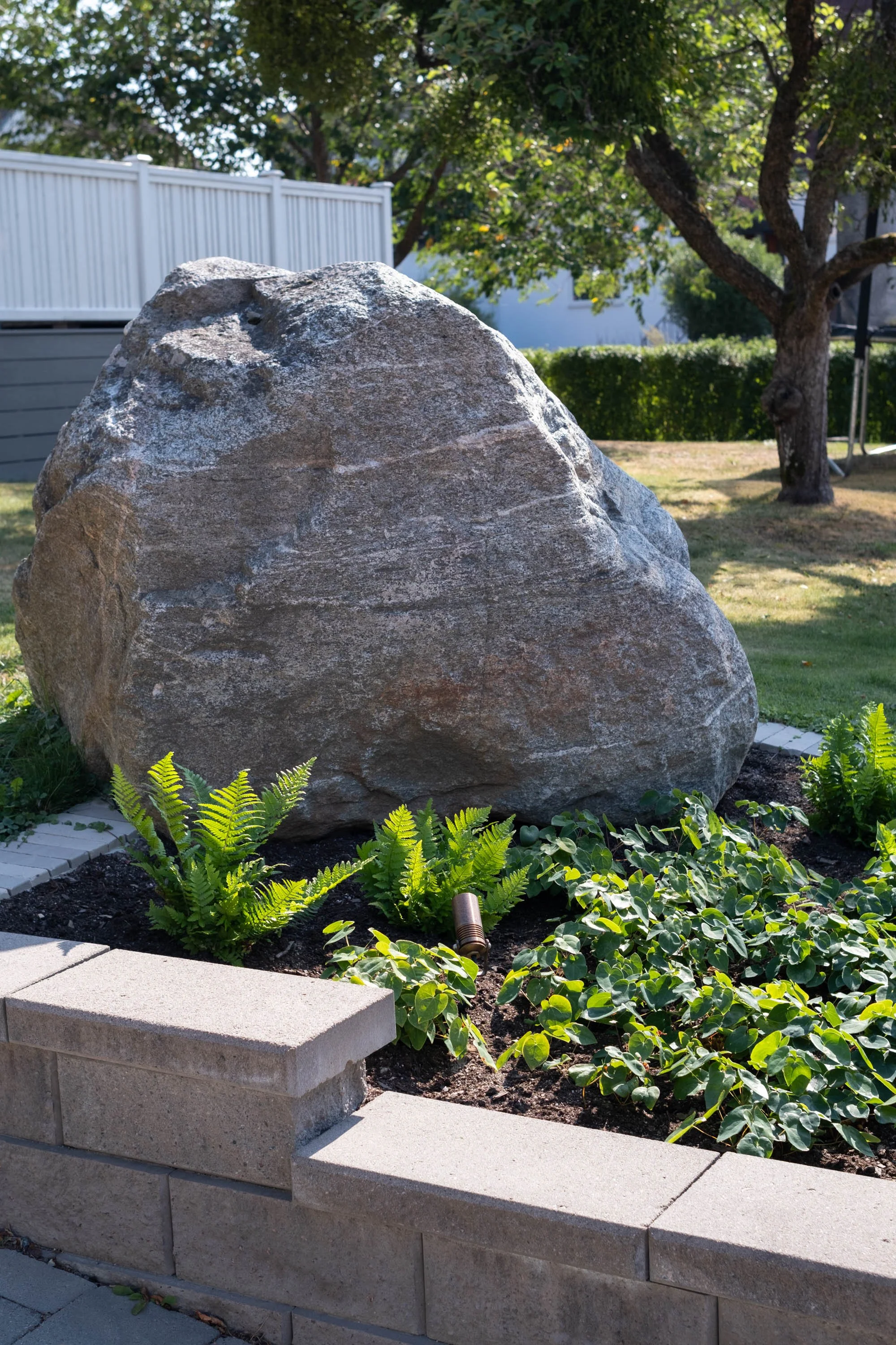 DSCF7180.jpg