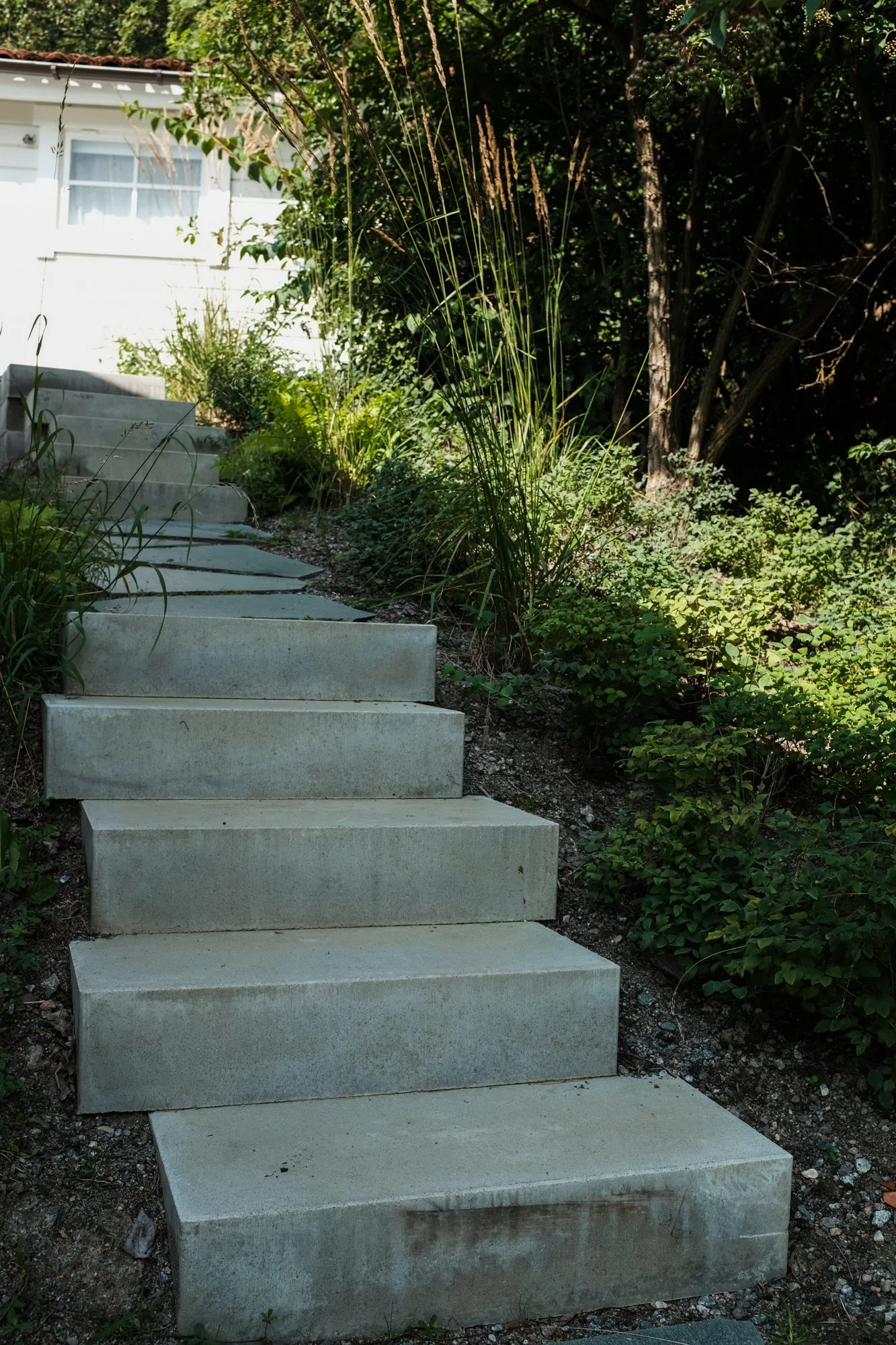 DSCF0649.jpg