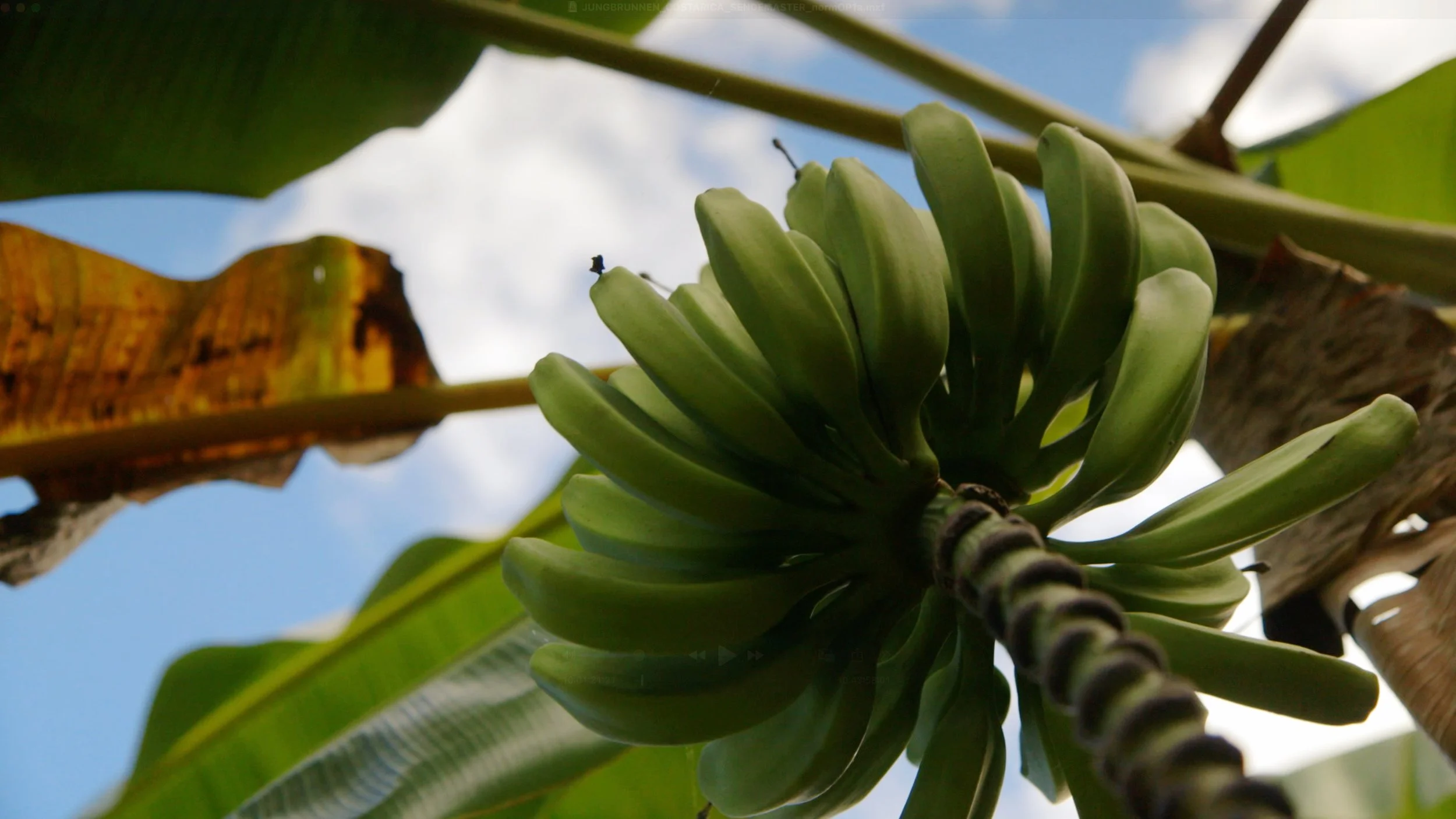 Bildschirmfoto 2025-12-18 um 9.48.45 PM.jpg