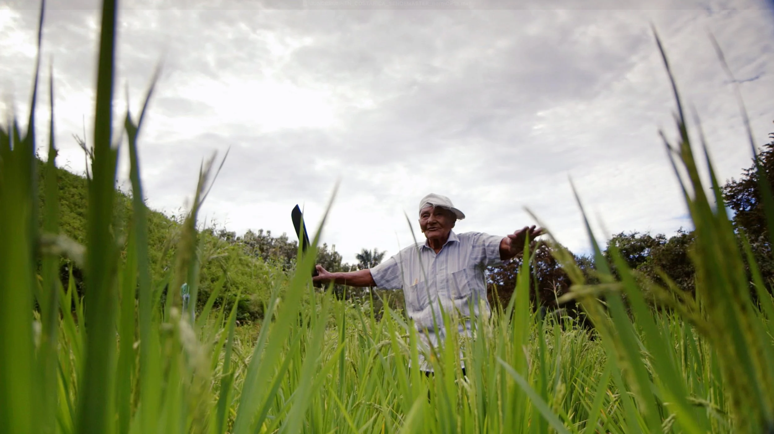 Bildschirmfoto 2025-12-18 um 9.43.29 PM.jpg