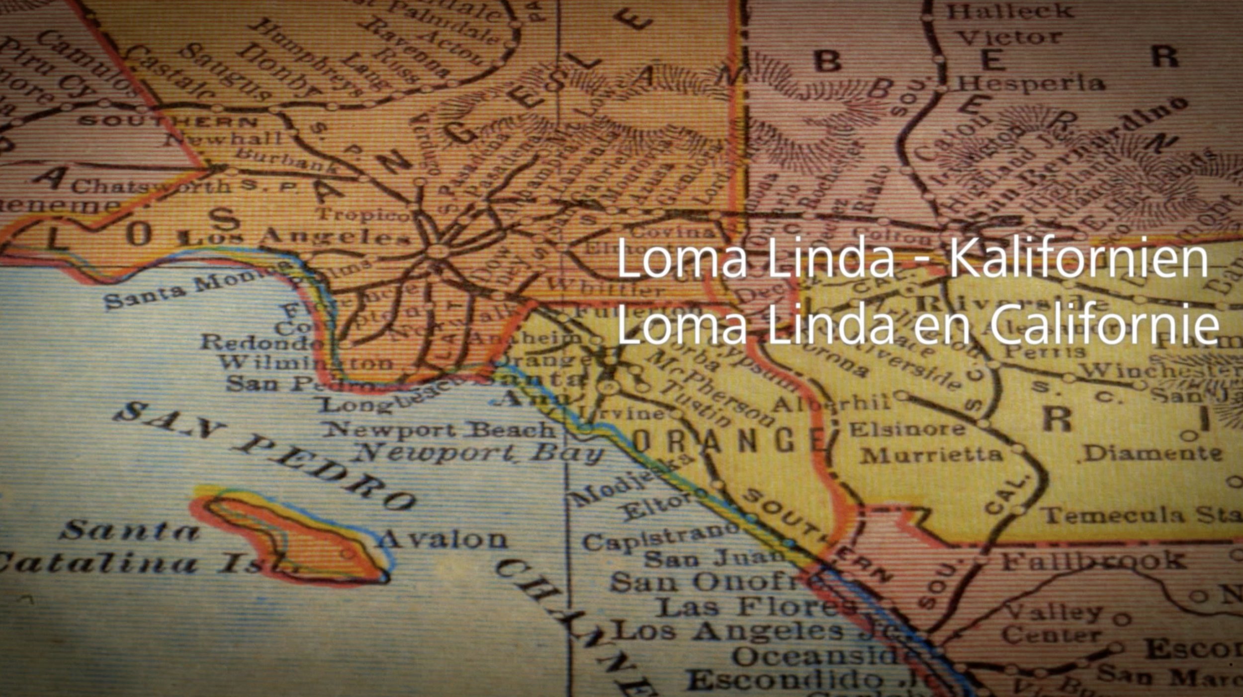 Bildschirmfoto 2025-12-19 um 5.42.16 PM.jpg