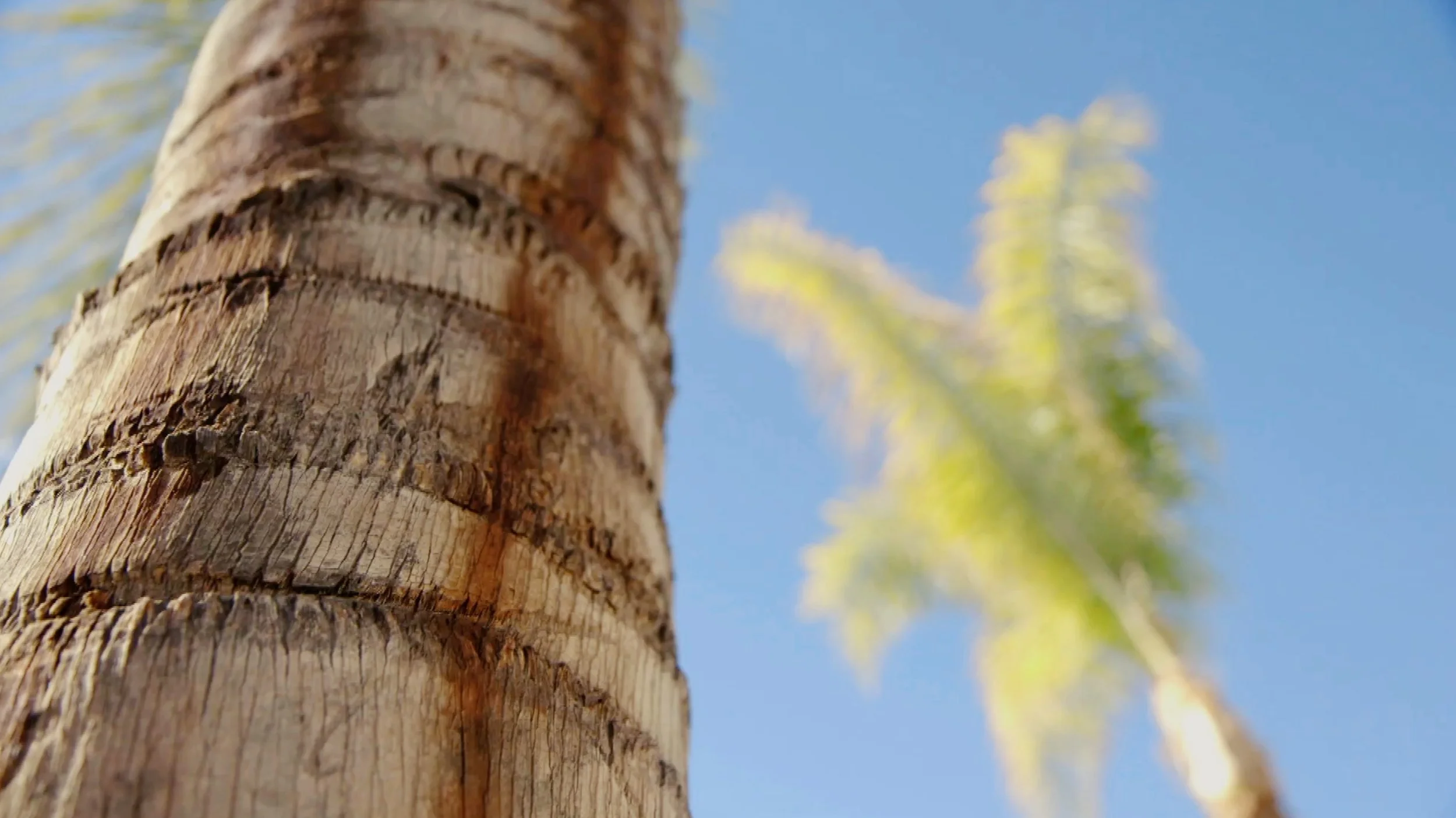 Bildschirmfoto 2025-12-19 um 10.58.57 AM.jpg