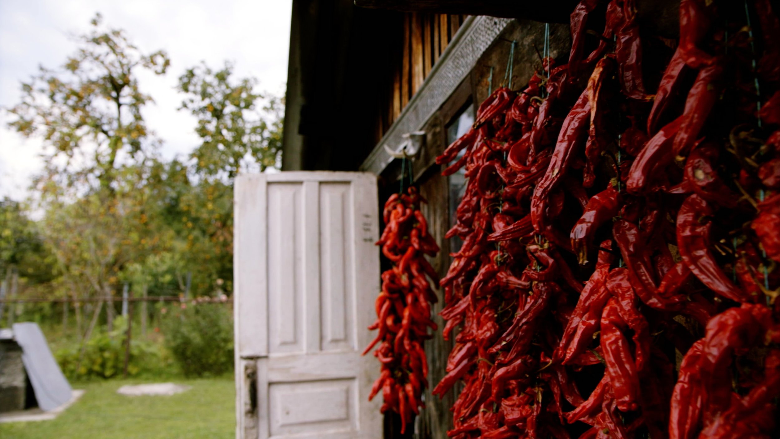 Bildschirmfoto 2025-12-18 um 9.02.18 PM.jpg