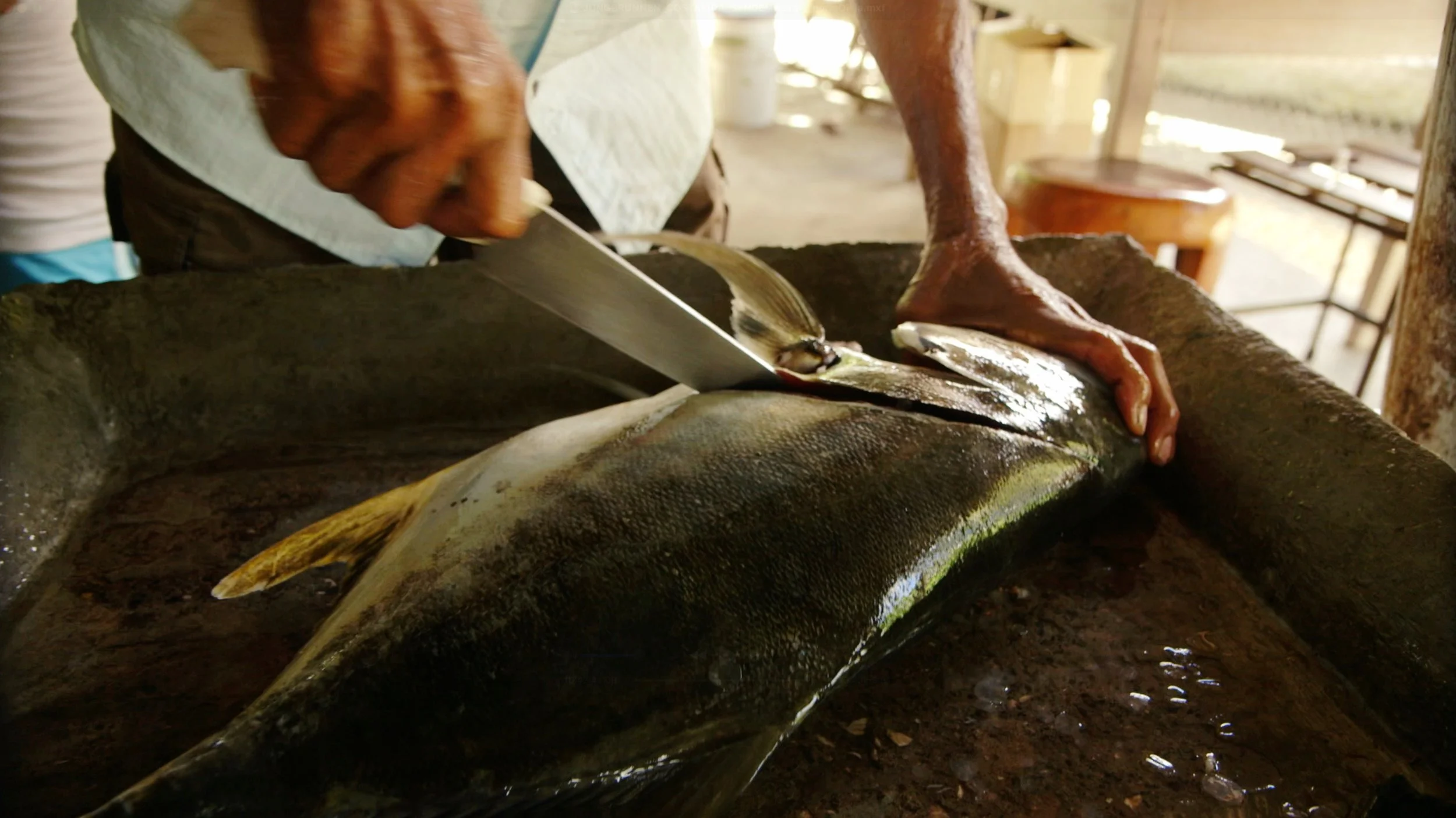 Bildschirmfoto 2025-12-18 um 9.43.58 PM.jpg