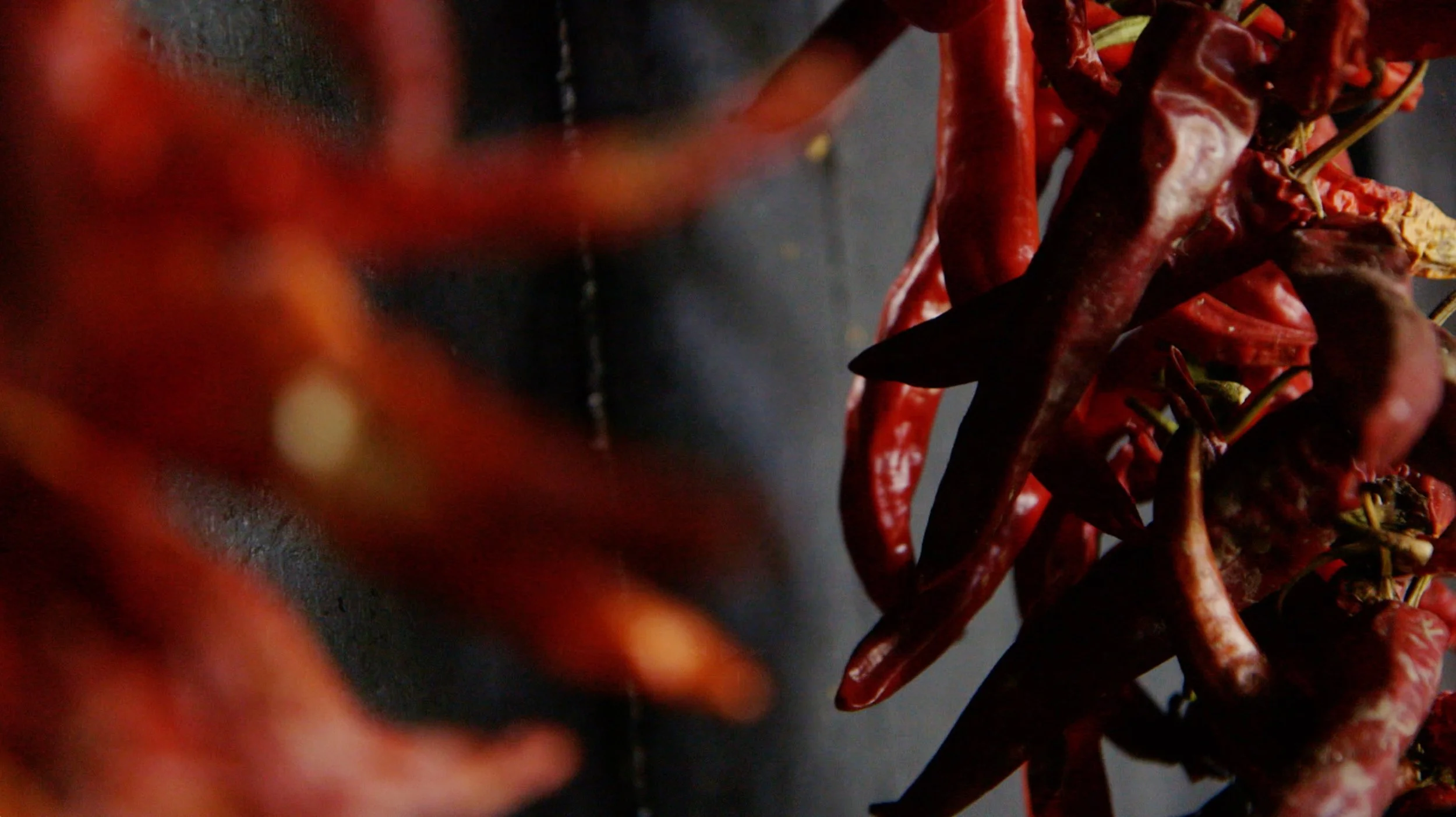 Bildschirmfoto 2025-12-18 um 8.52.20 PM.jpg